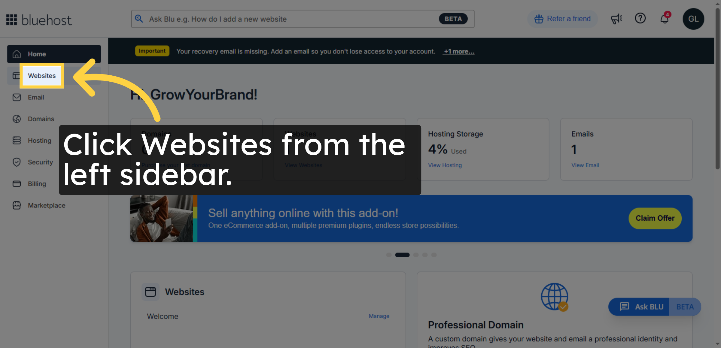 Go to Websites Section