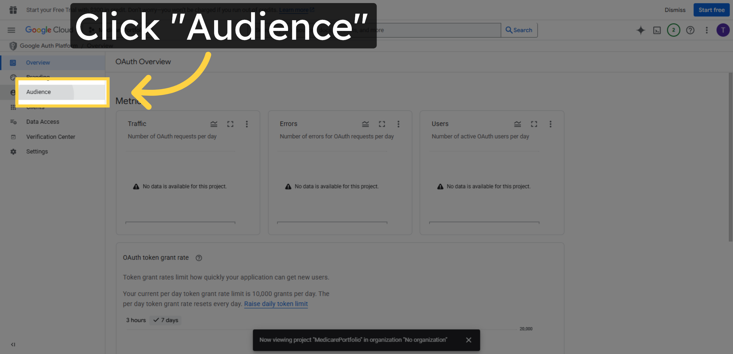 Open Audience Section