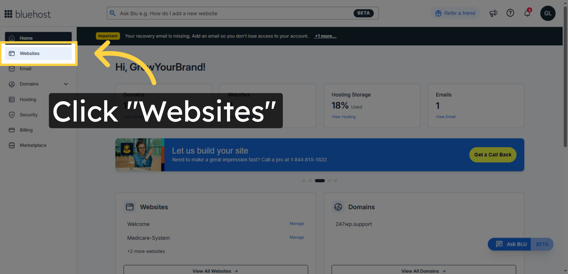 Access Websites Section
