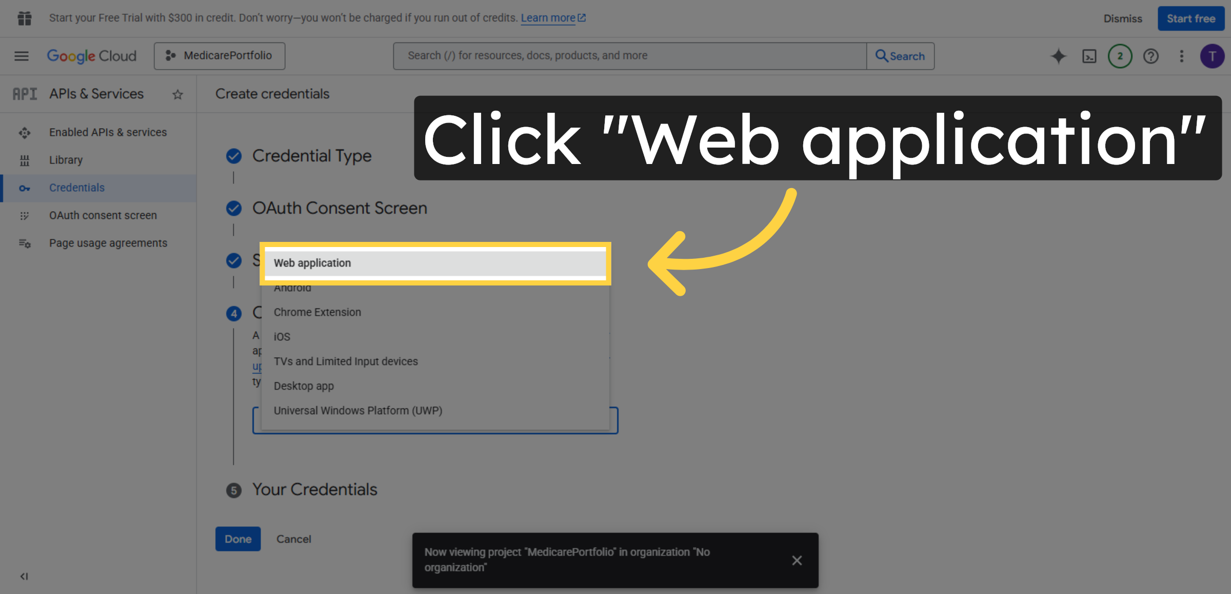 Select Web Application Type