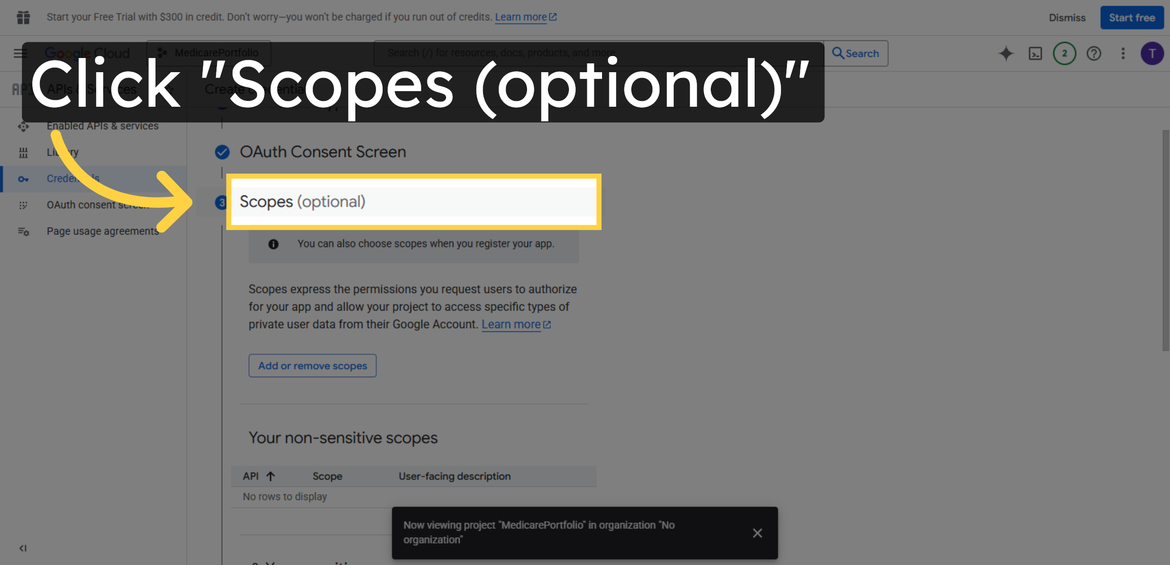 Open Scopes Section