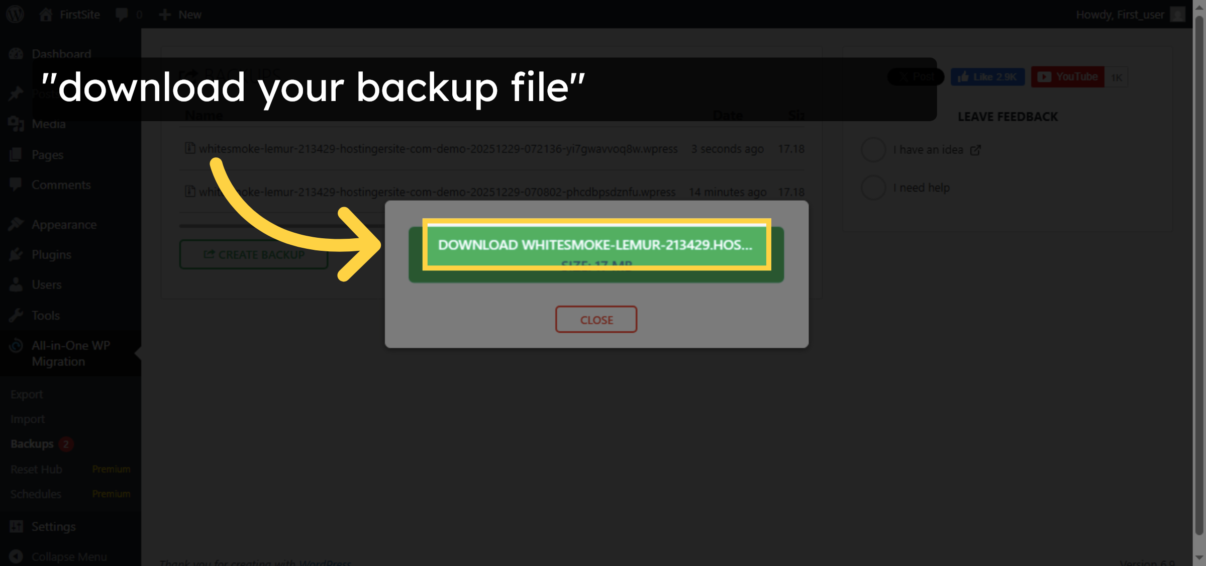 Download Backup File