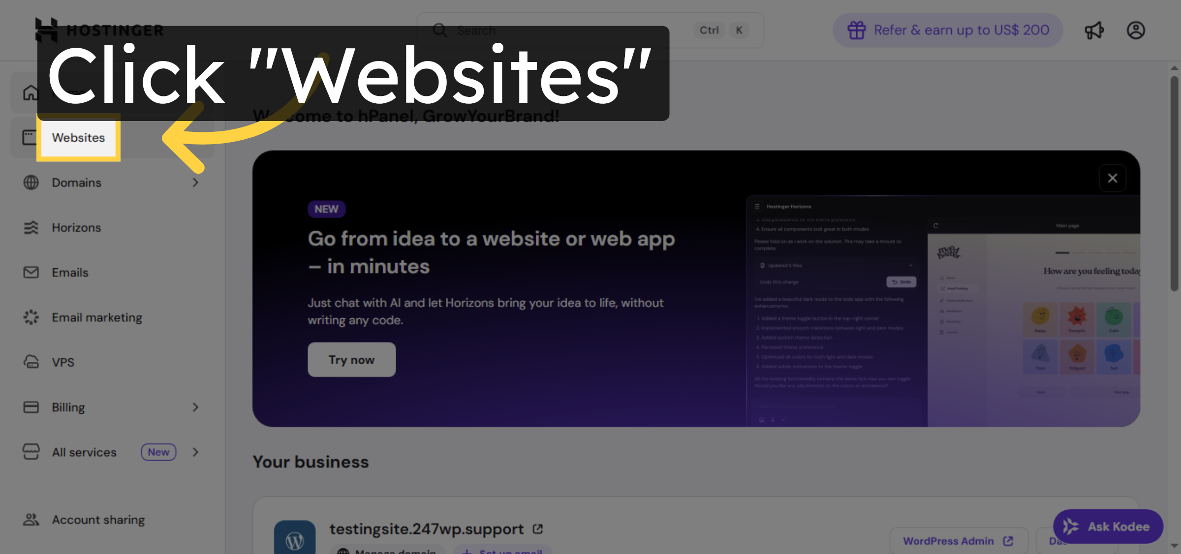 Navigate to Websites Section