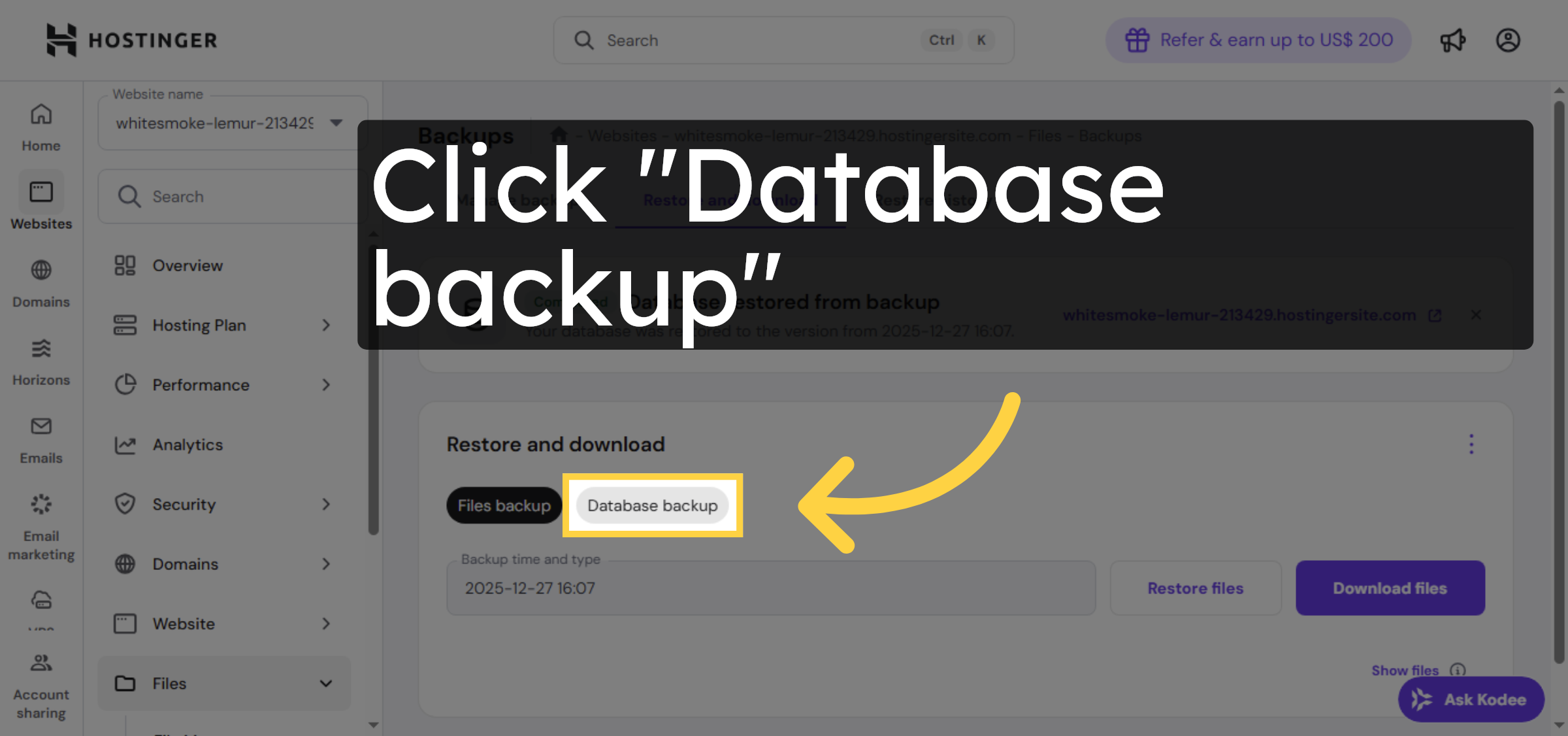 Access Database Backup
