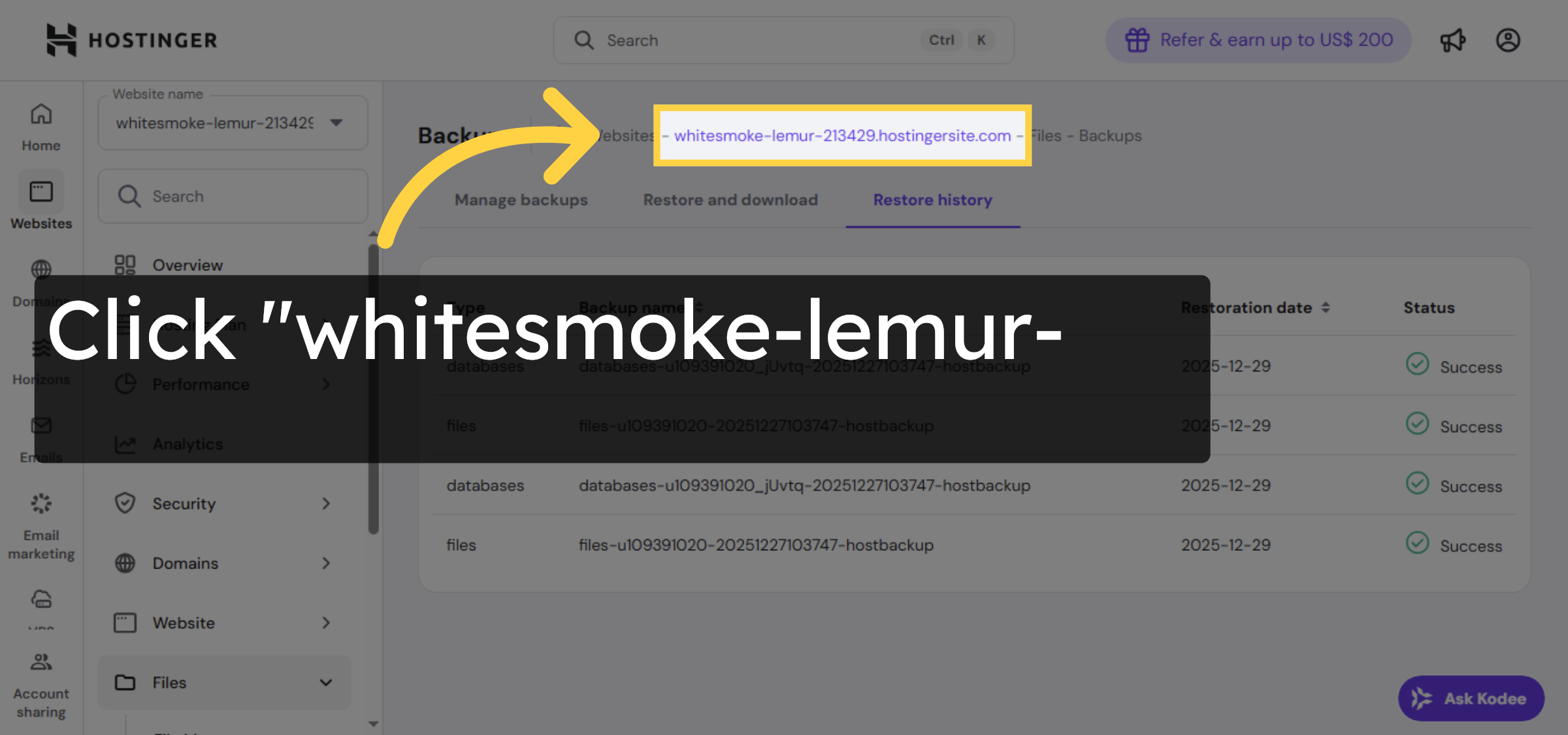 Select Website In History