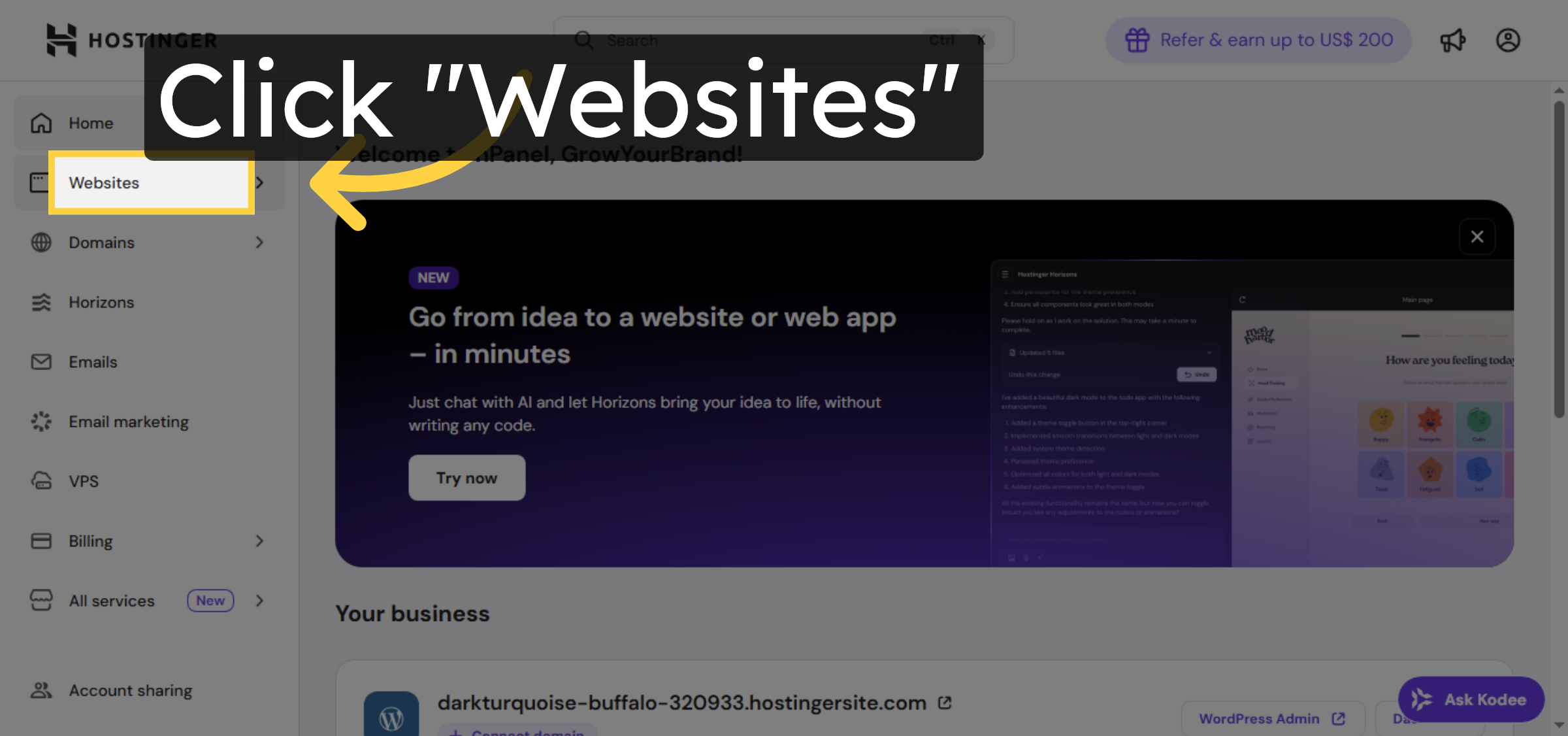 Navigate To Websites Section