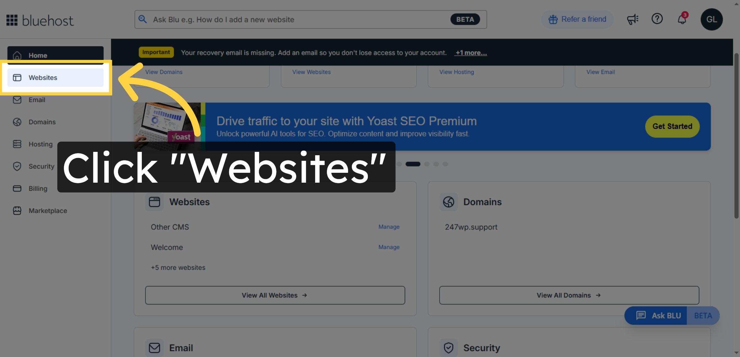 Open Websites Section