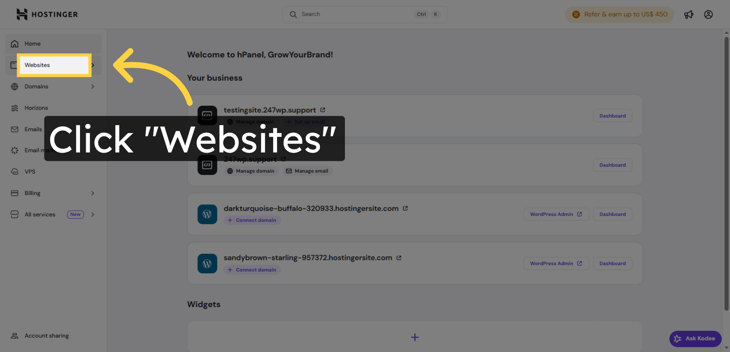 Navigate to Websites Section