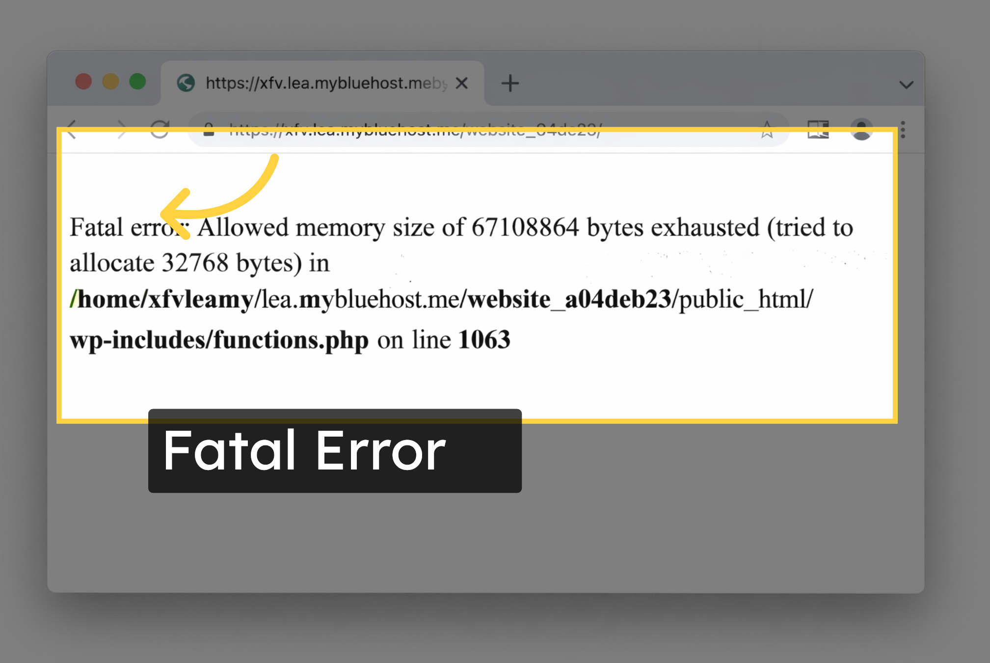 Fatal Error