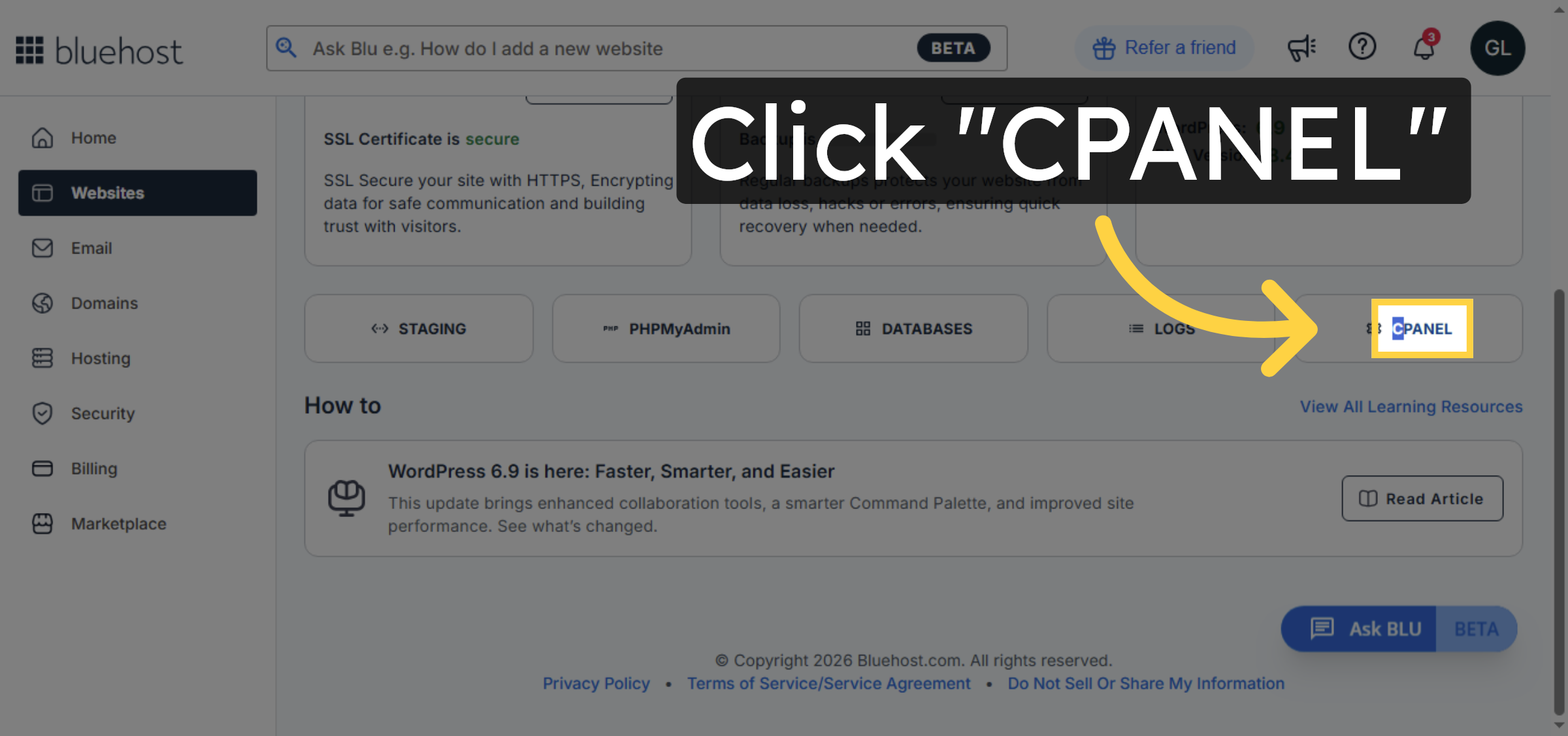 Access cPanel Interface