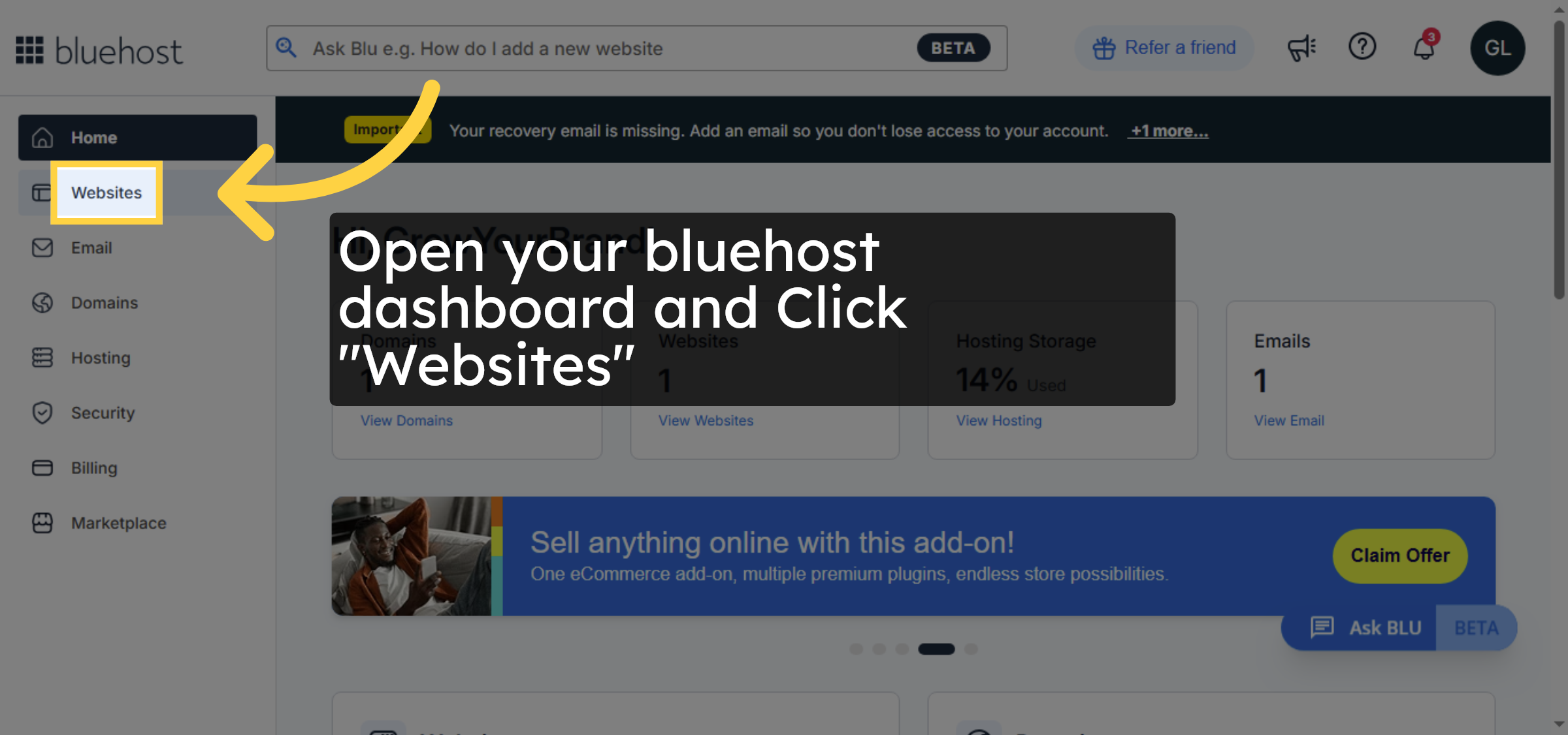 Navigate to Websites Section
