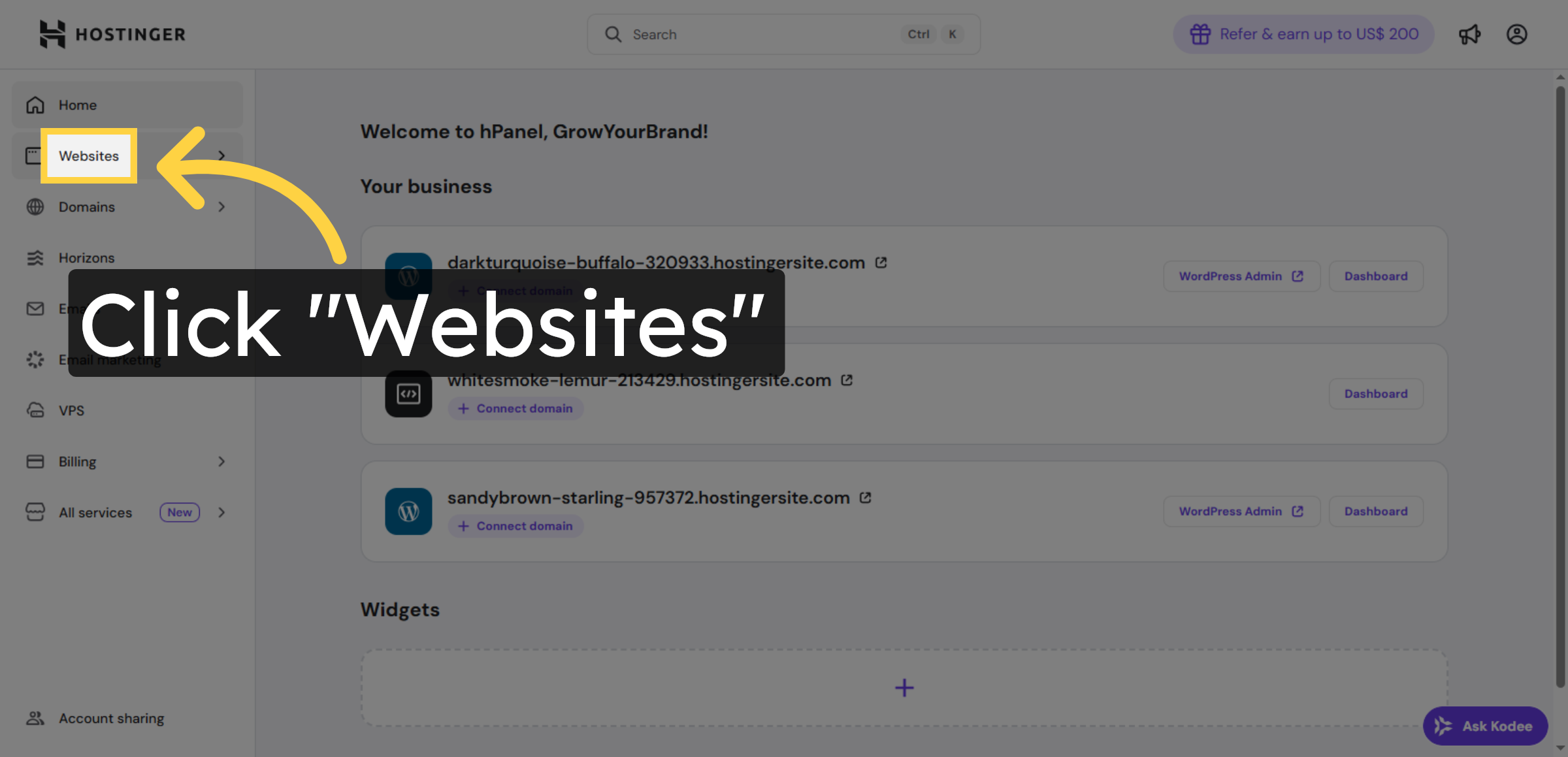 Navigate to Websites Section