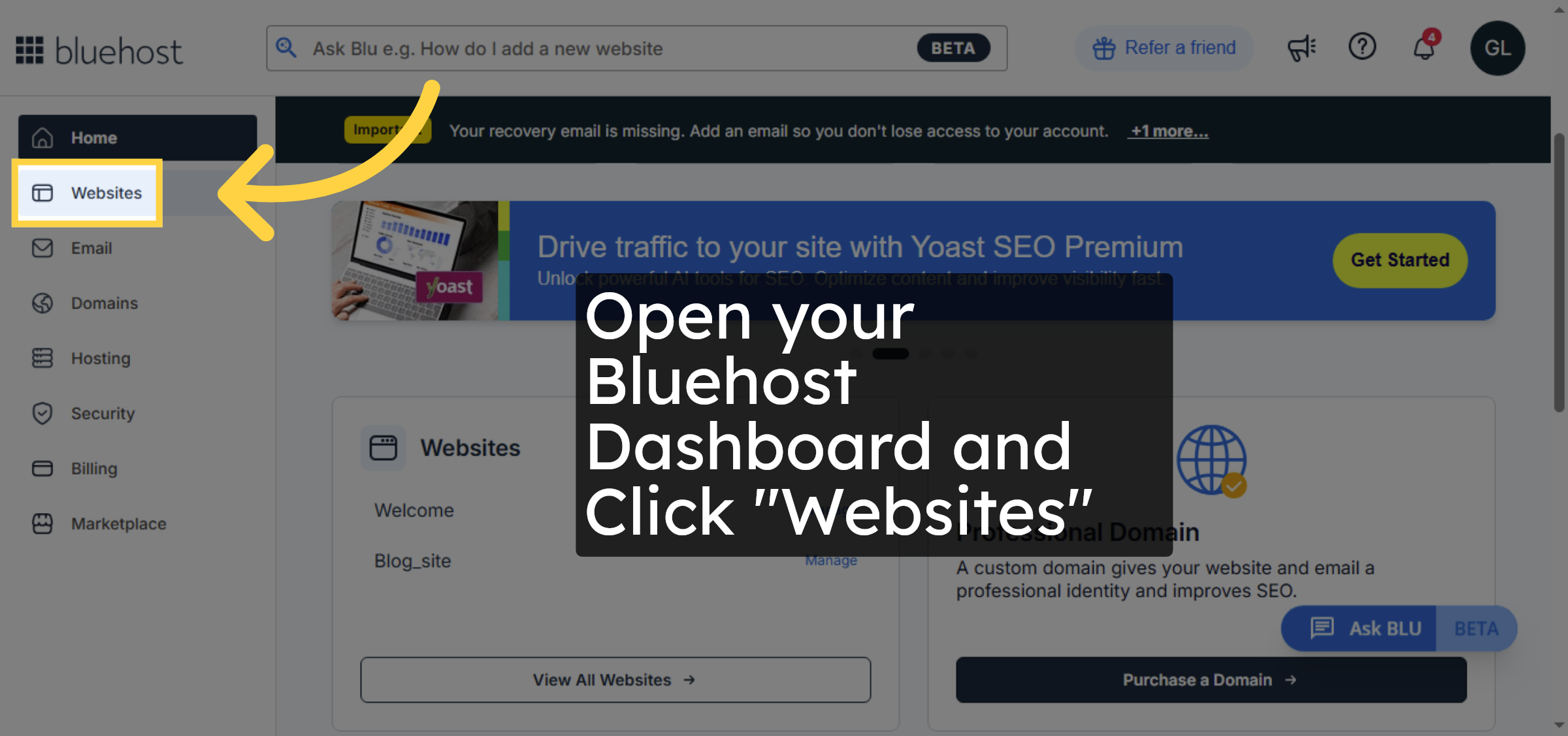 Navigate to Websites Section