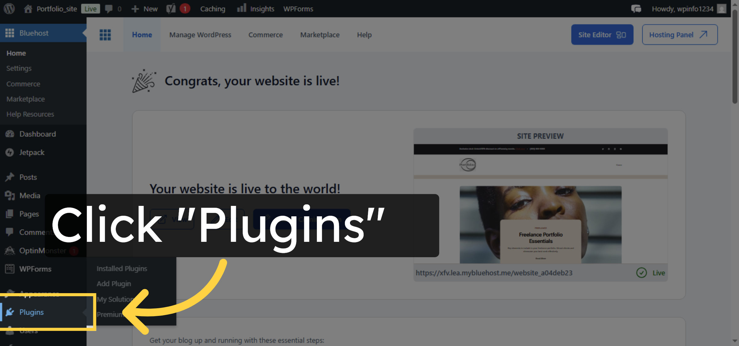 Access Plugins Menu
