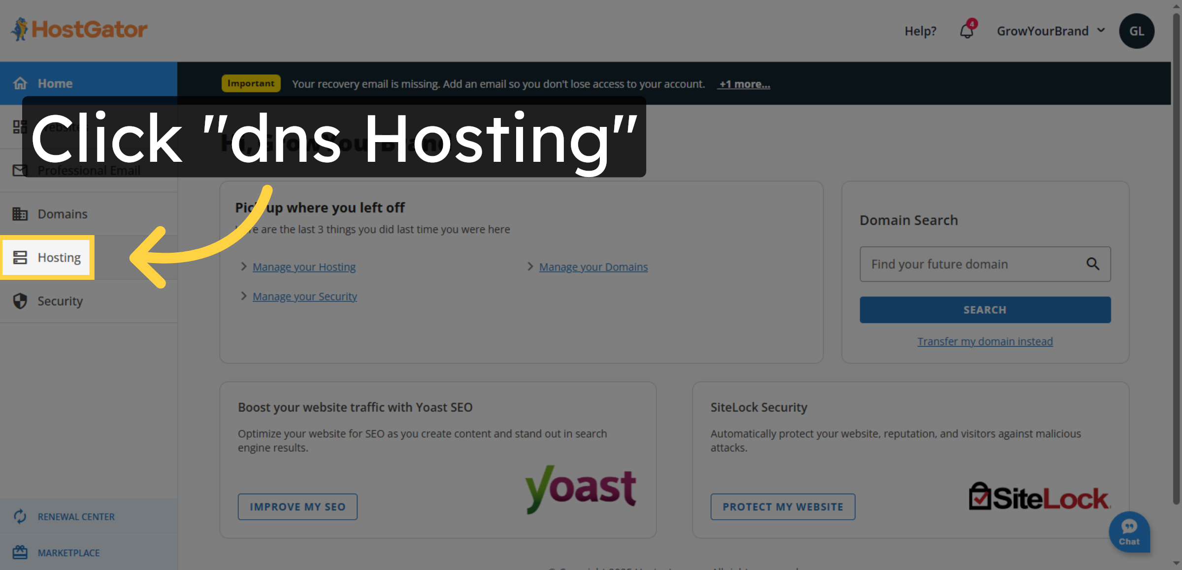 Open DNS Hosting Section