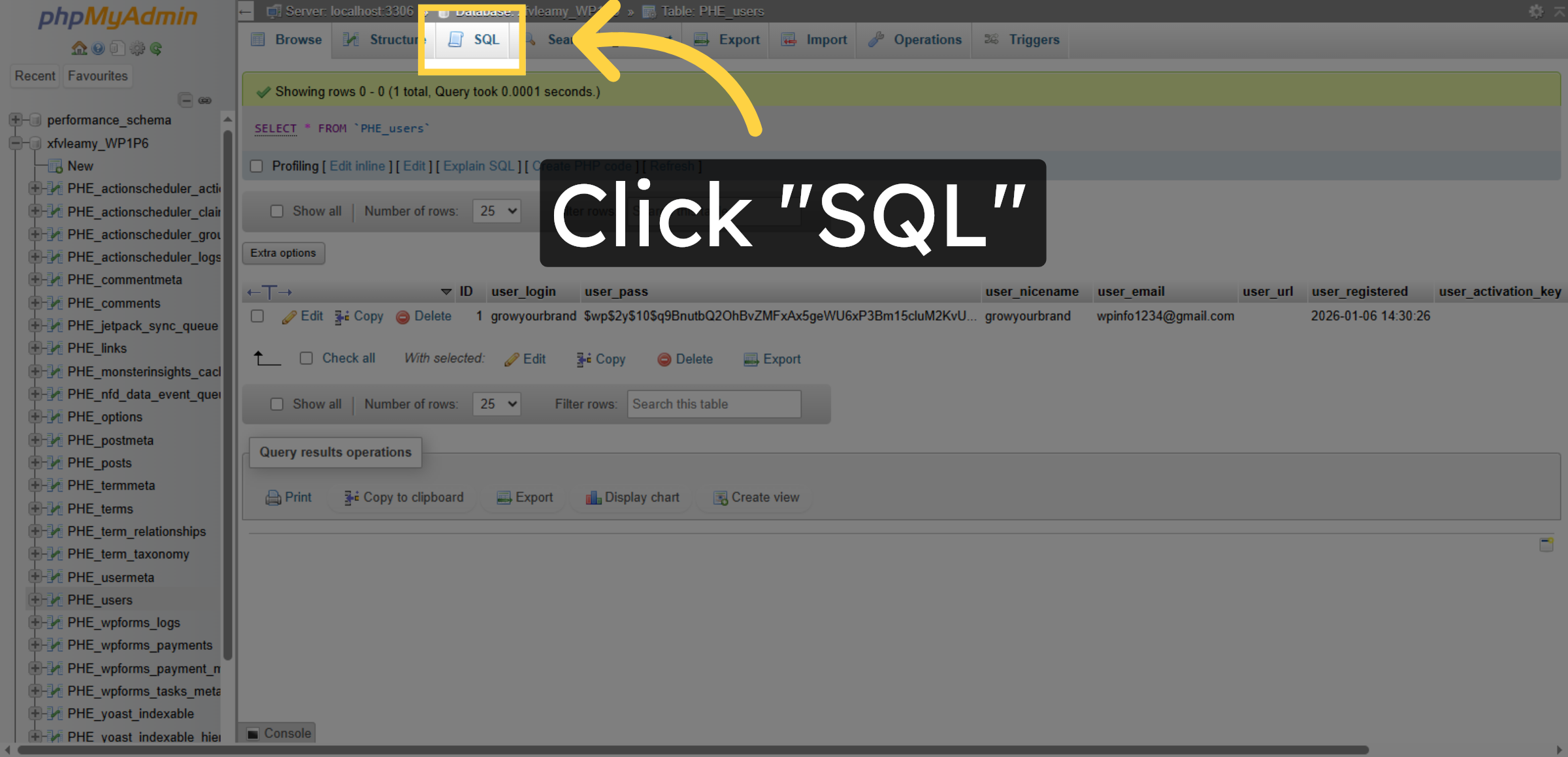 Access SQL Query Tab