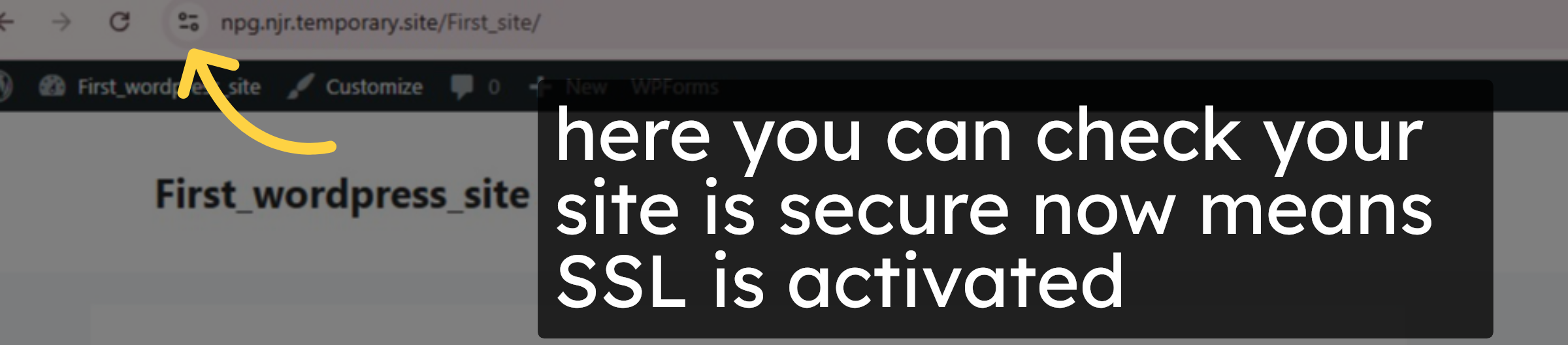 Verify SSL Status