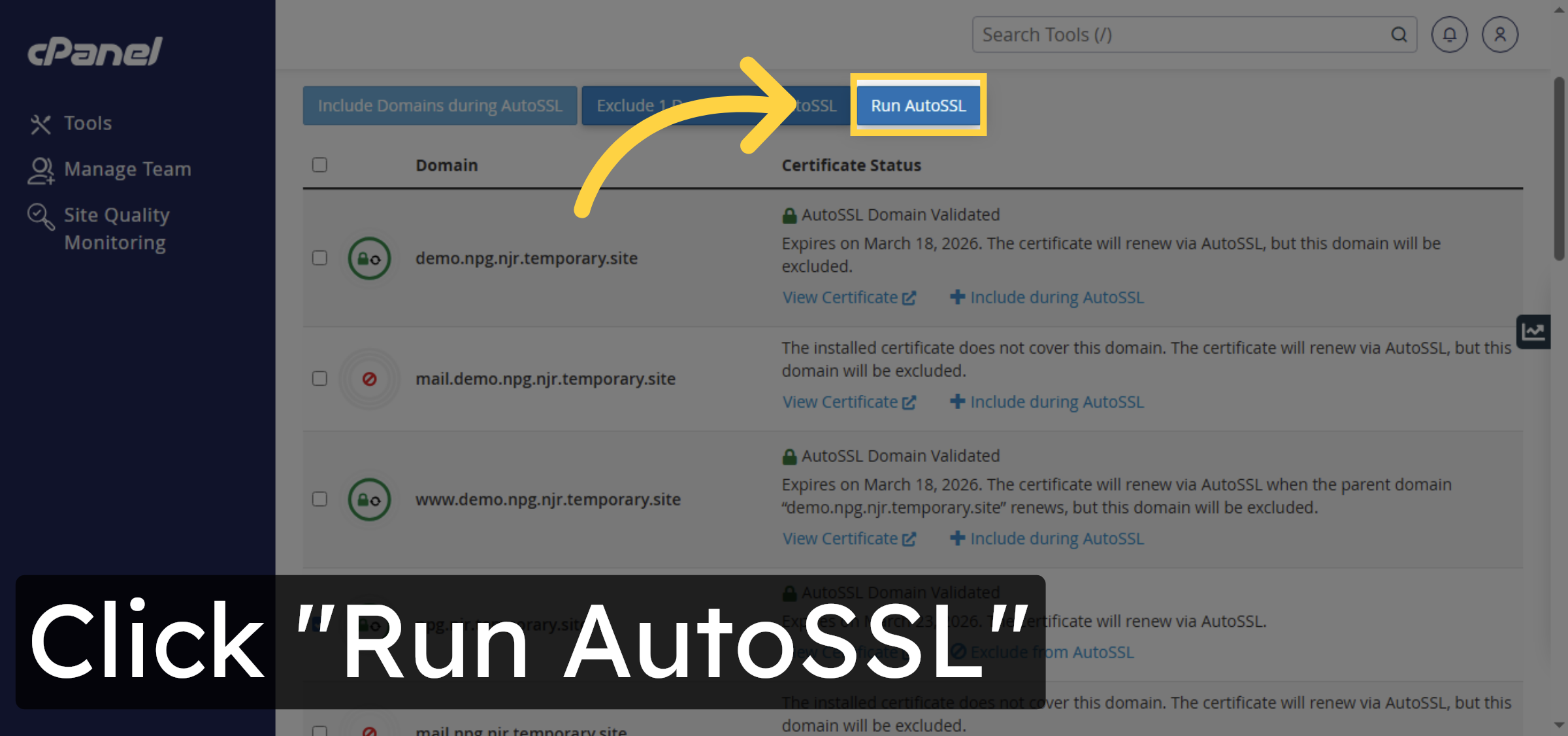 Run AutoSSL Process
