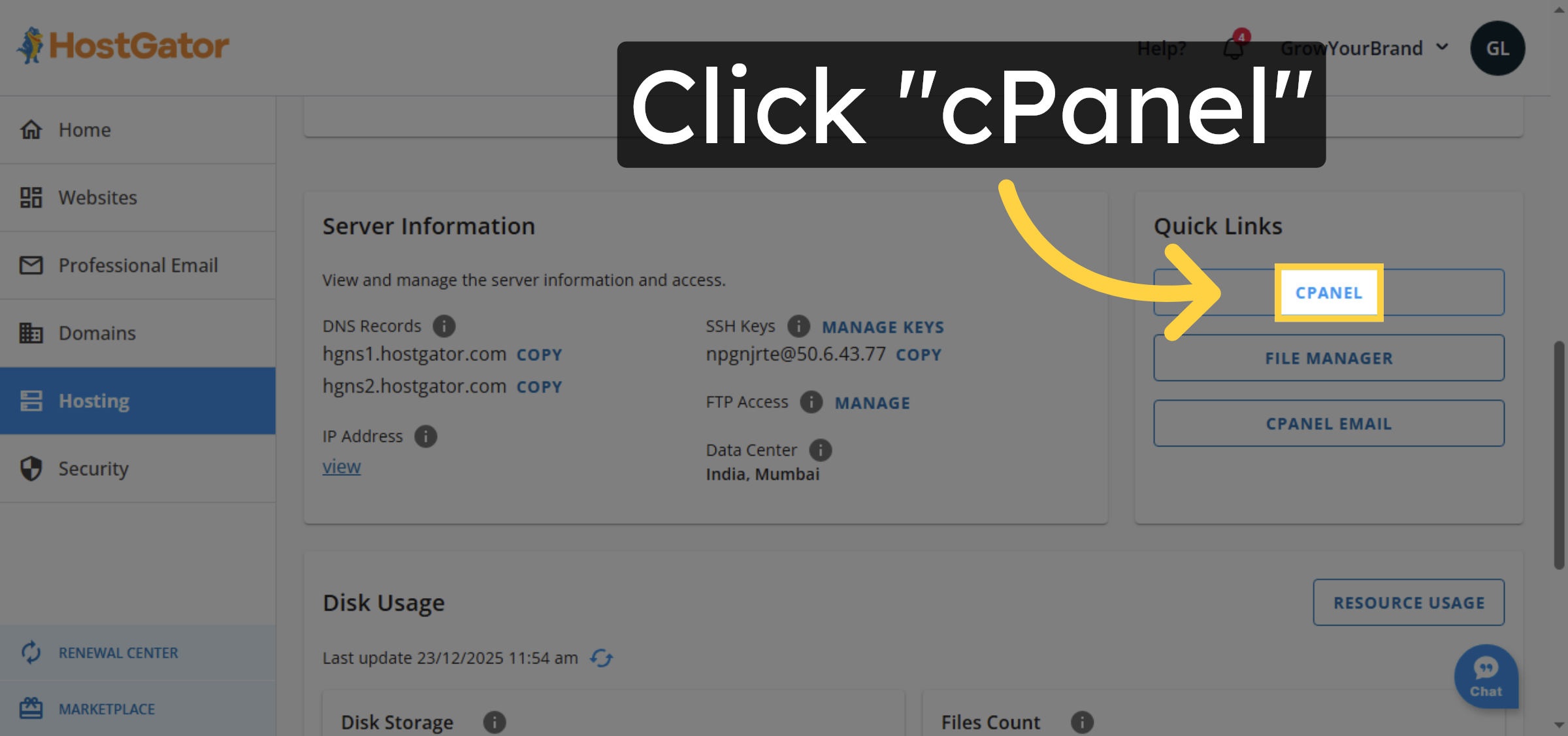 Open cPanel Interface
