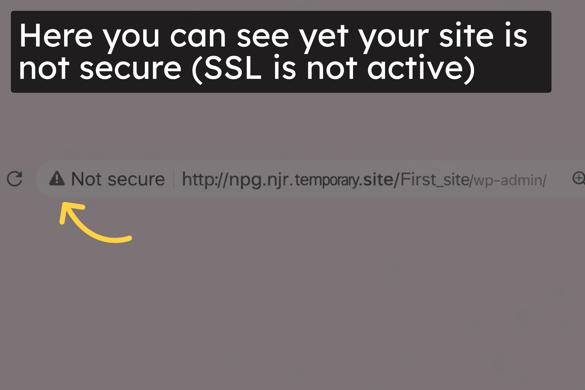 SSL Issue