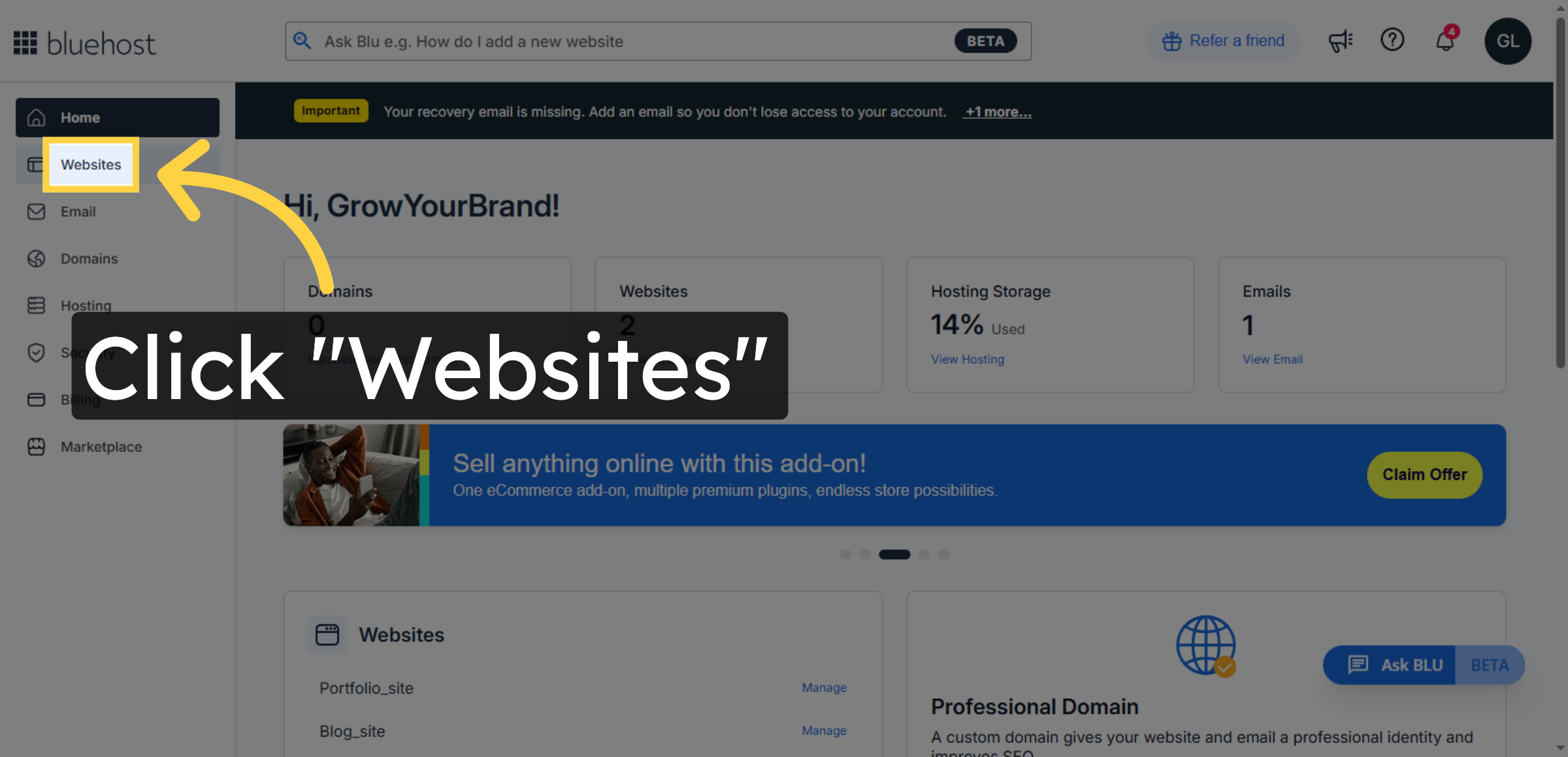 Access Websites Section