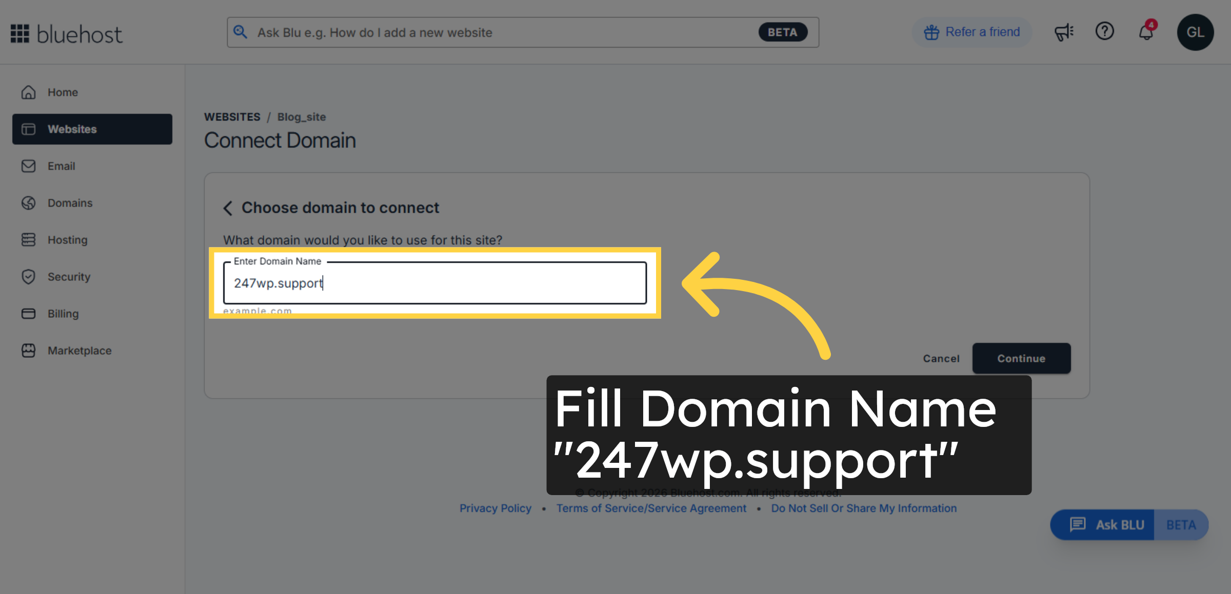 Enter Your Domain Name