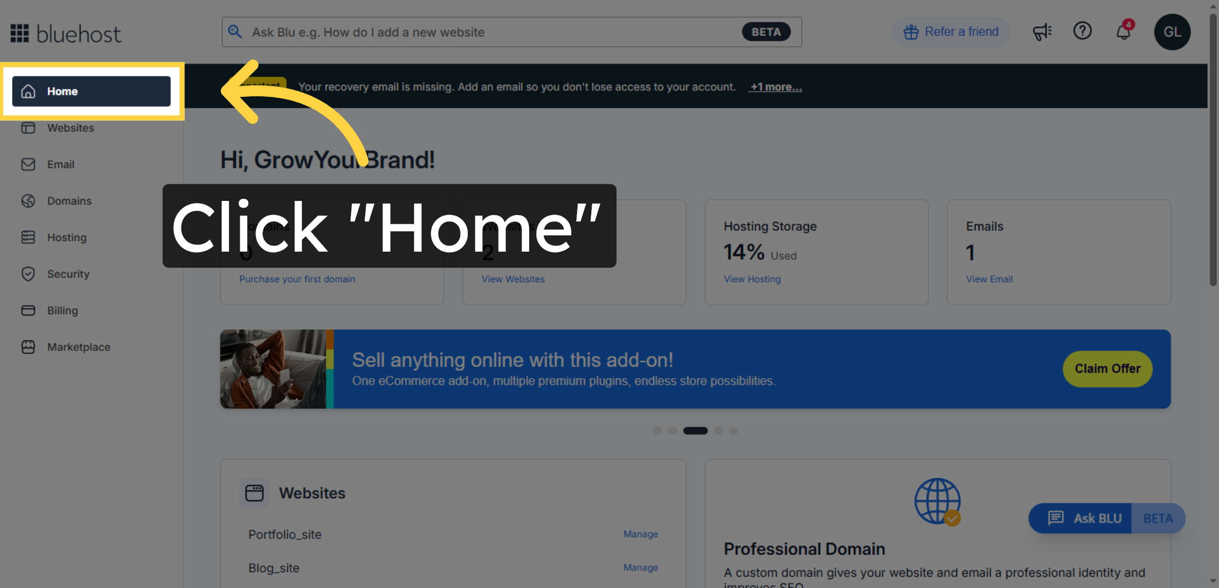 Bluehost Hosting Dashboard