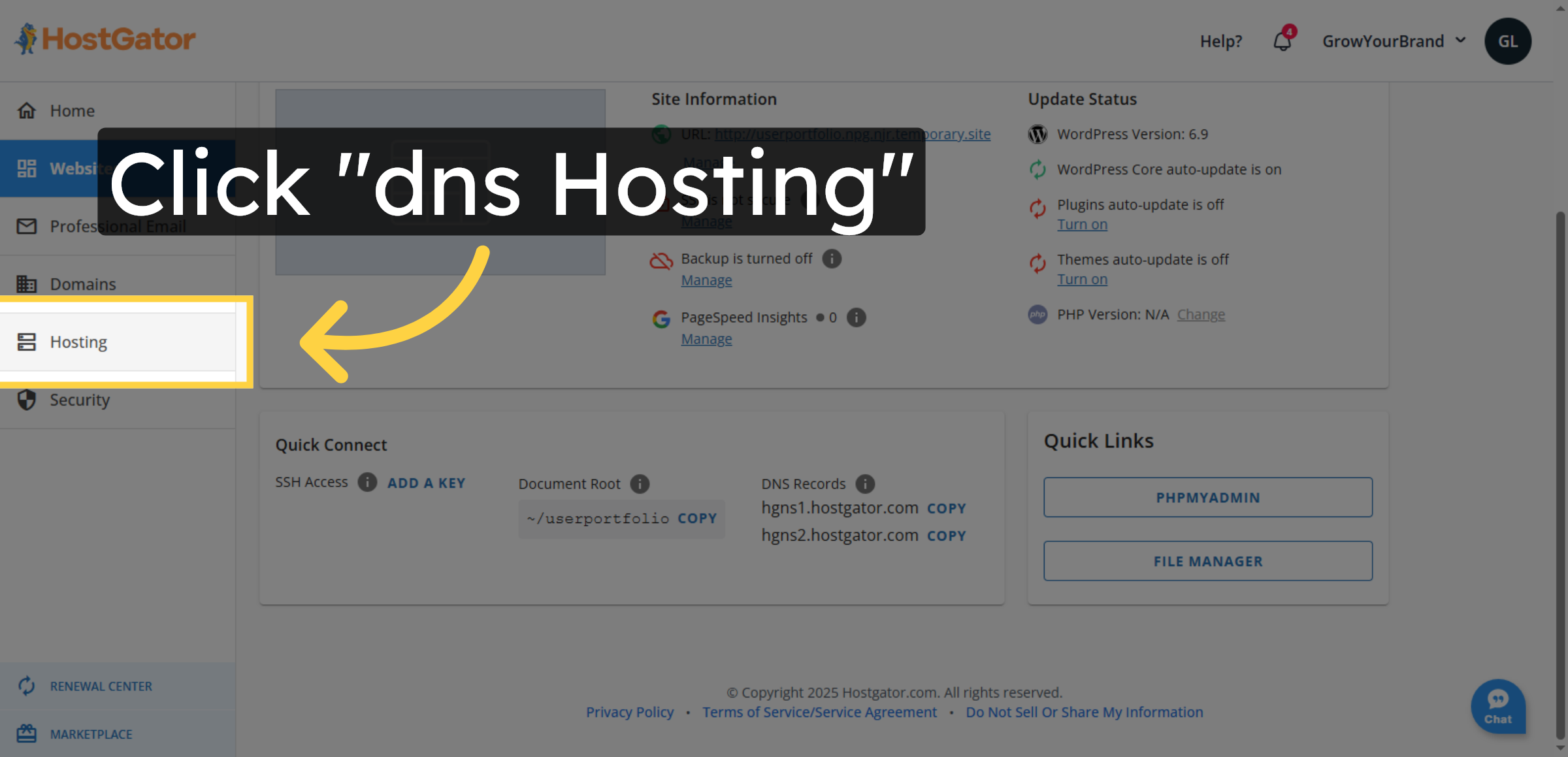 Access DNS Hosting Section