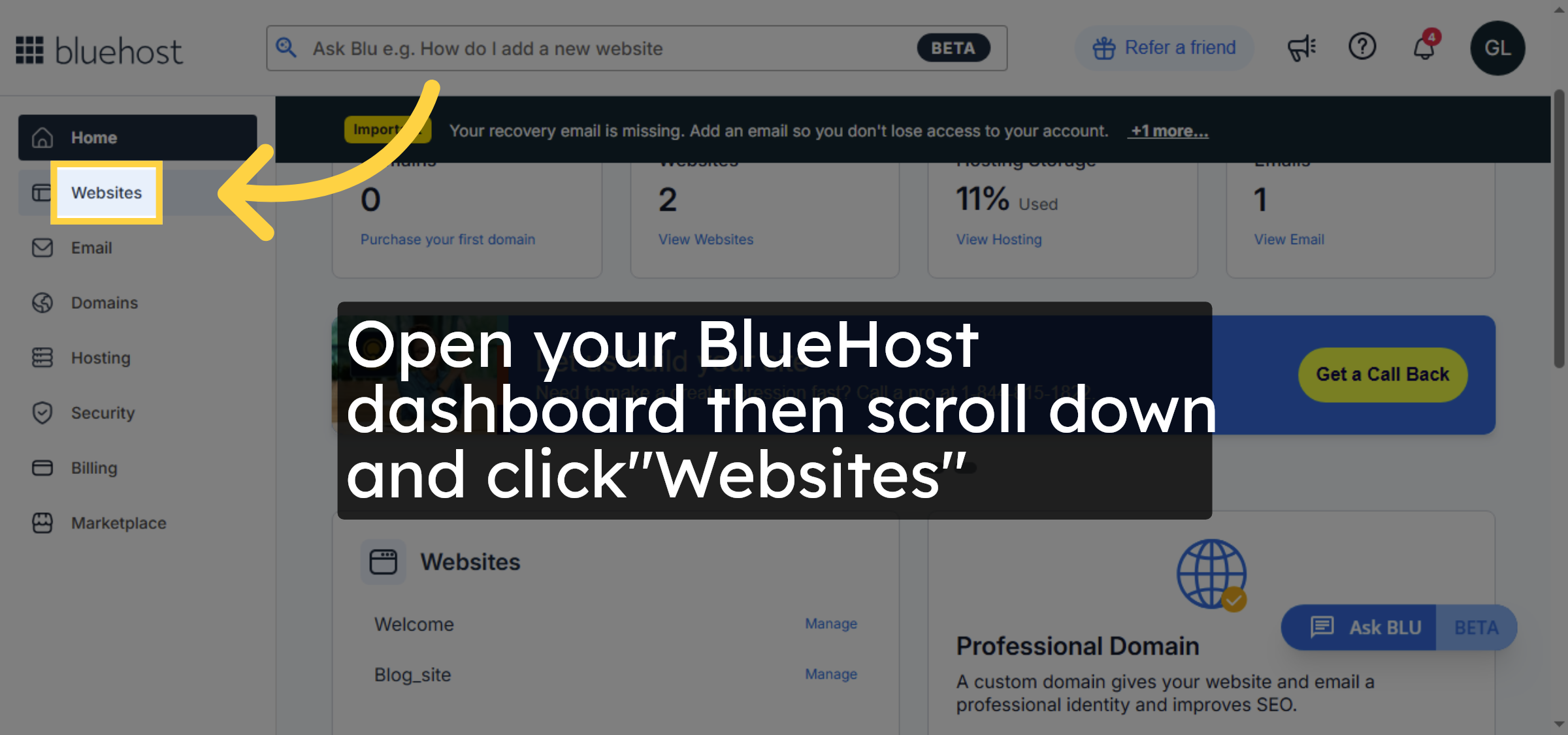 Navigate to Websites Section