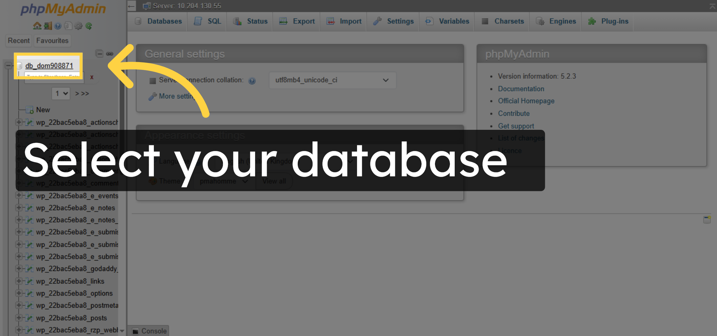 Select WordPress Database