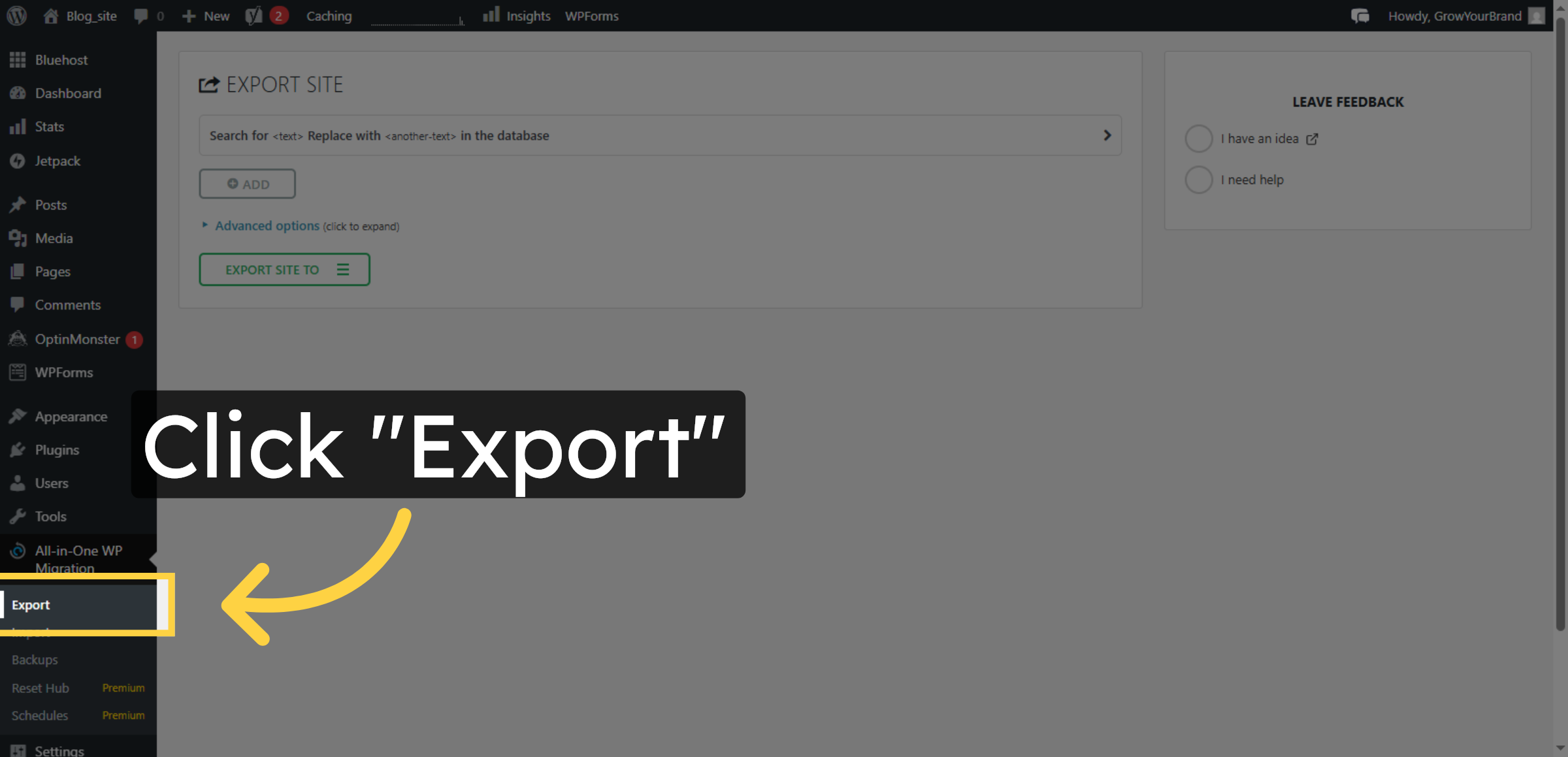 Select Export Option