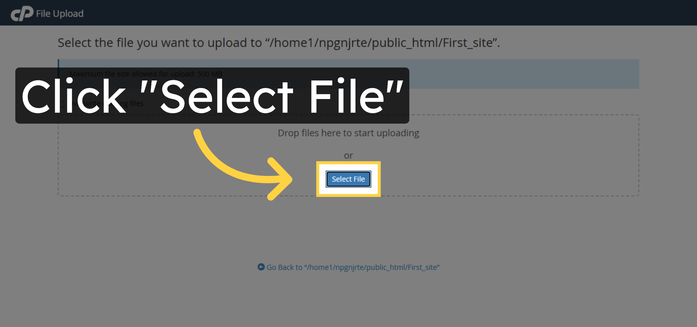 Choose WordPress Zip File