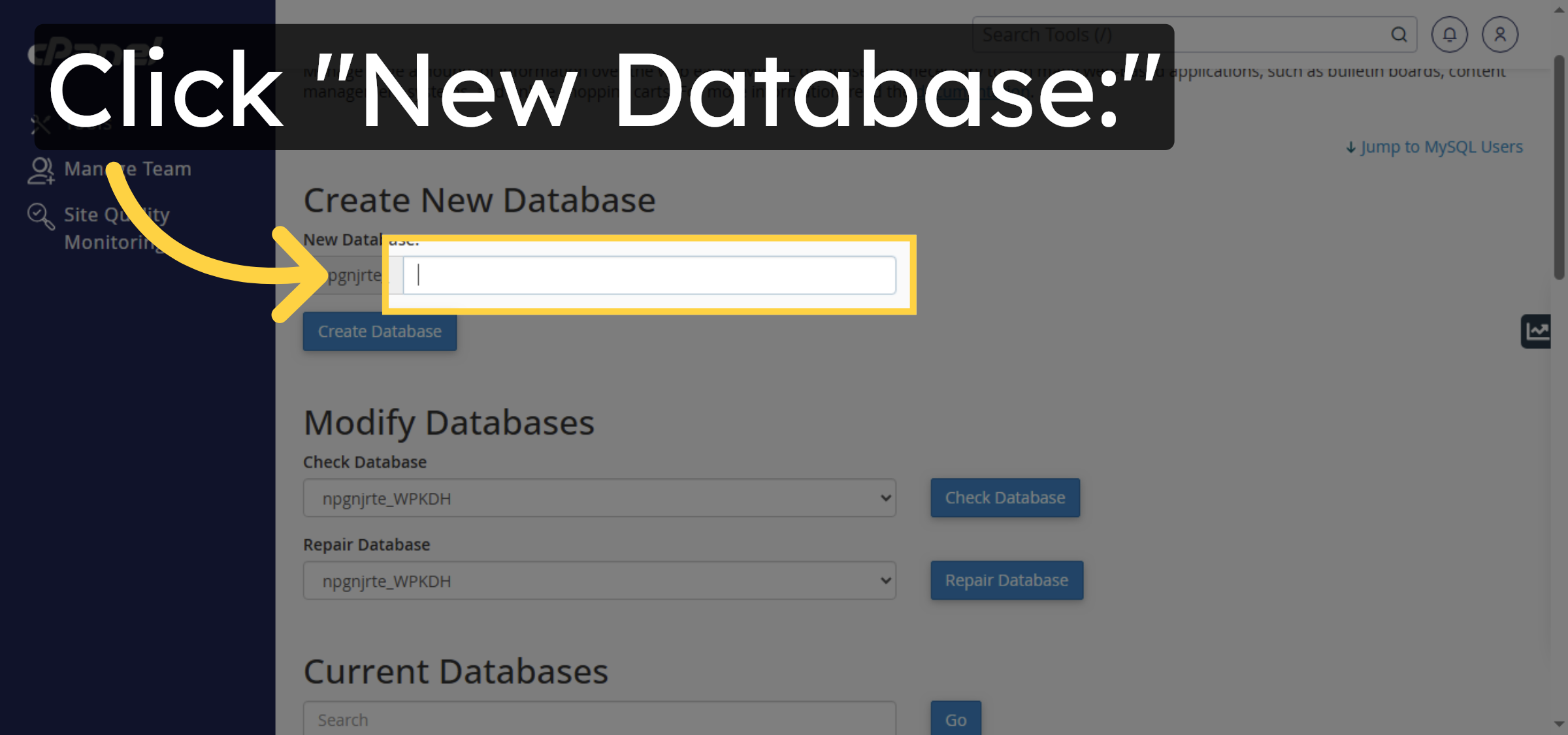 Select New Database Field