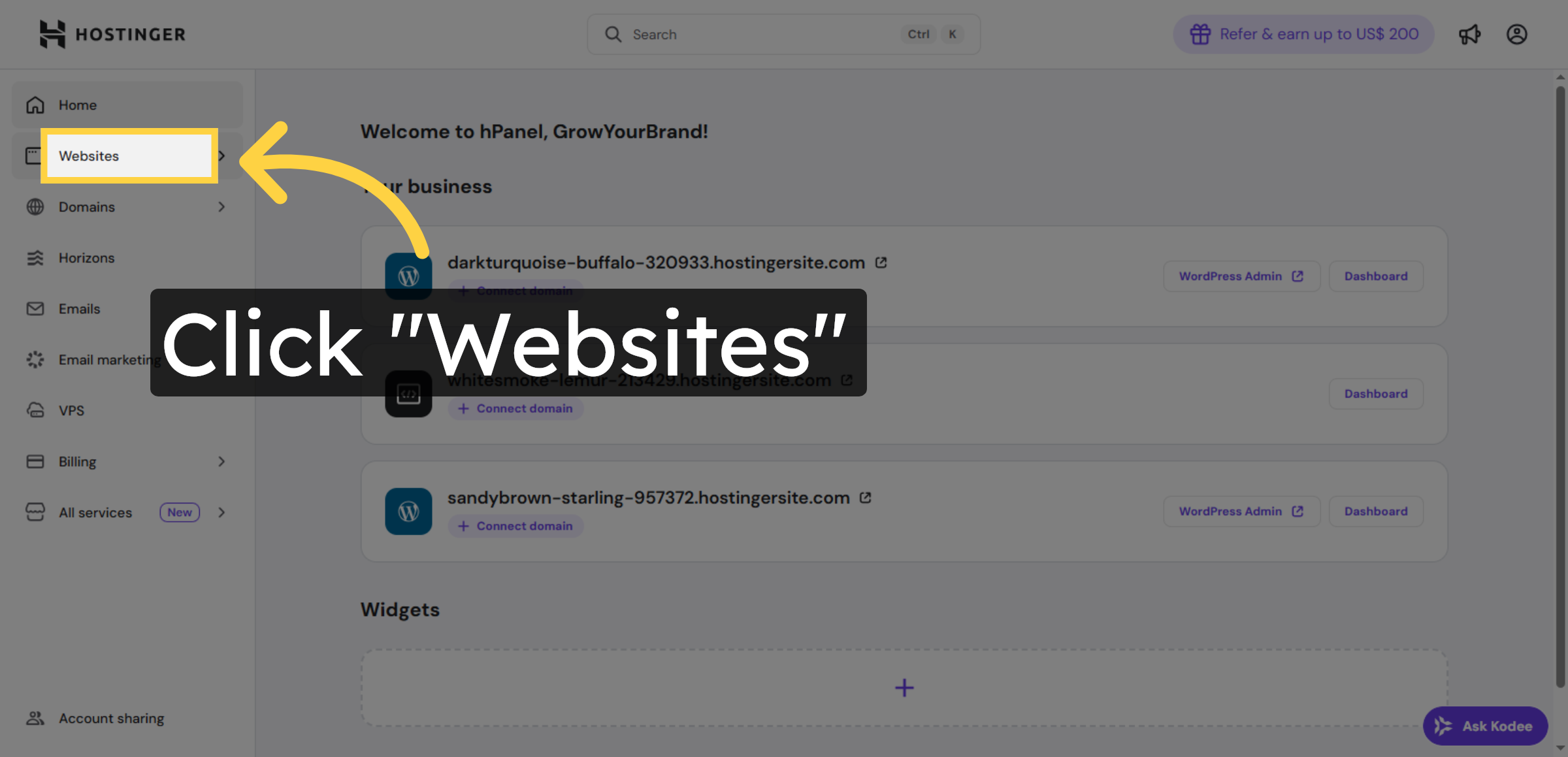 Open Websites Section