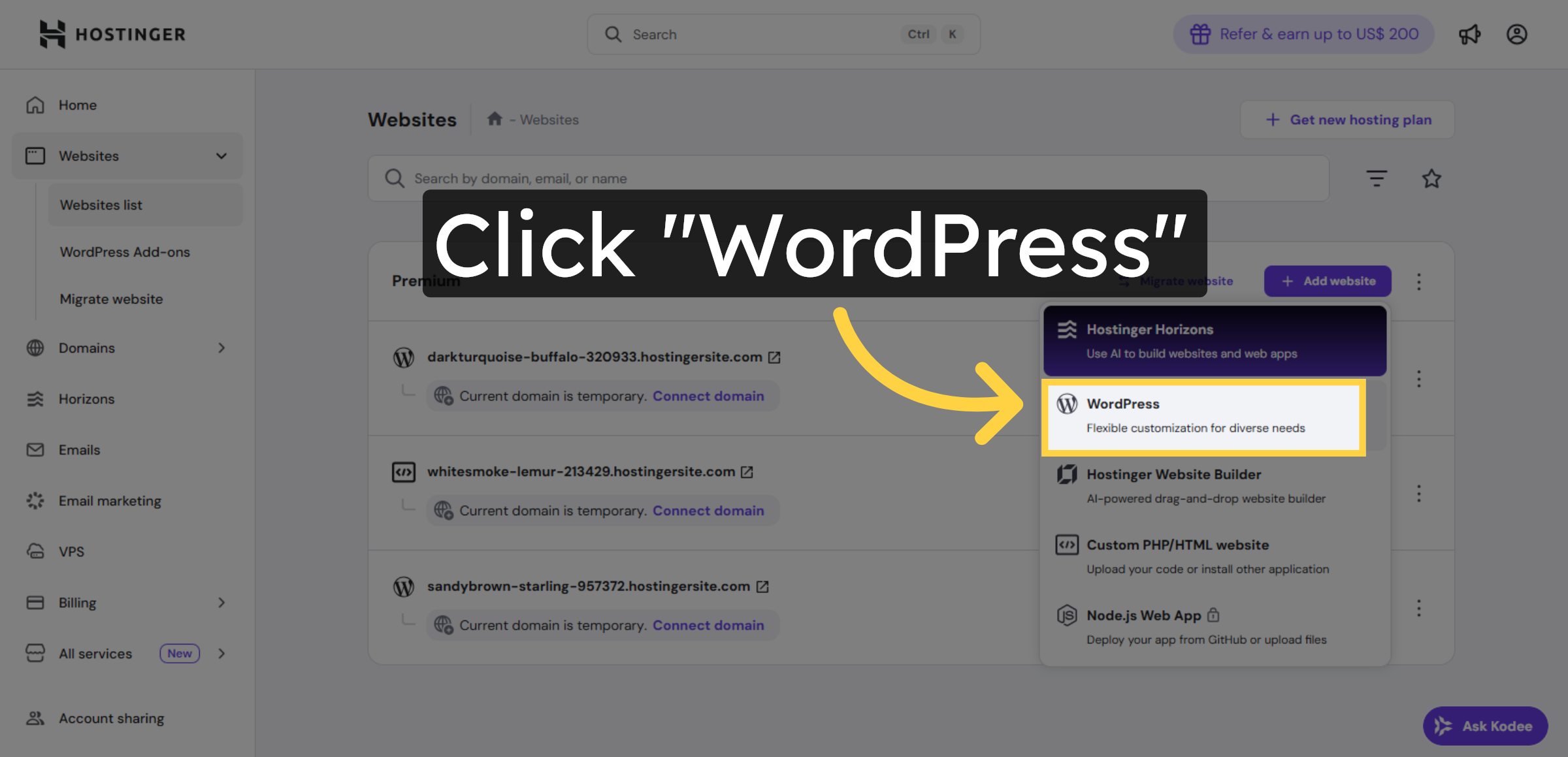 Choose WordPress Option