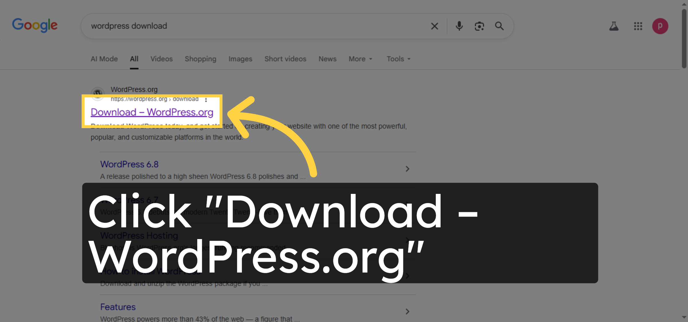 Access WordPress Download