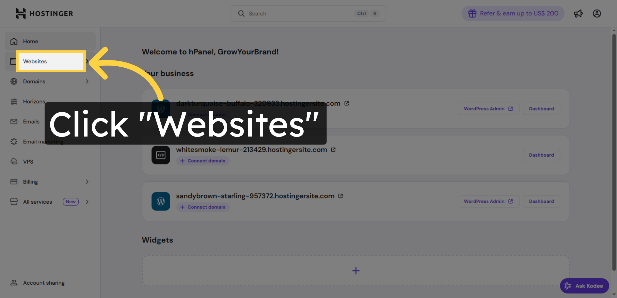 Navigate to Websites Section