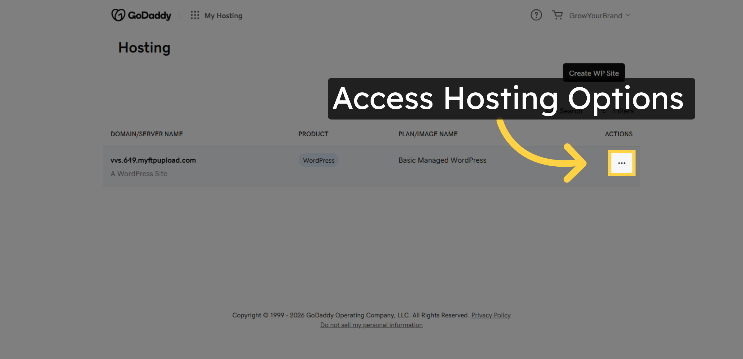  Access Hosting Options