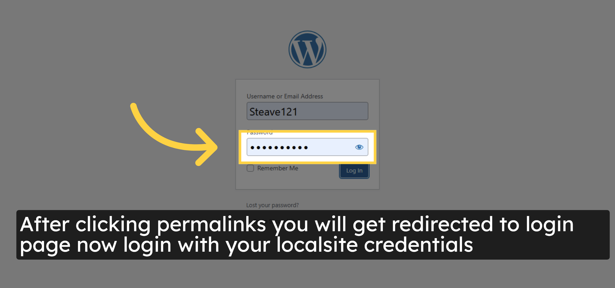 Enter Password and login