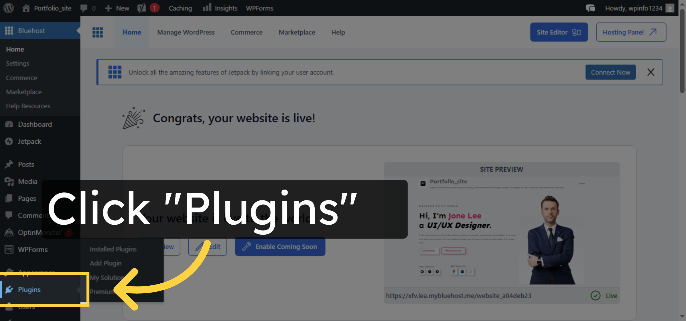 Access Plugins Menu
