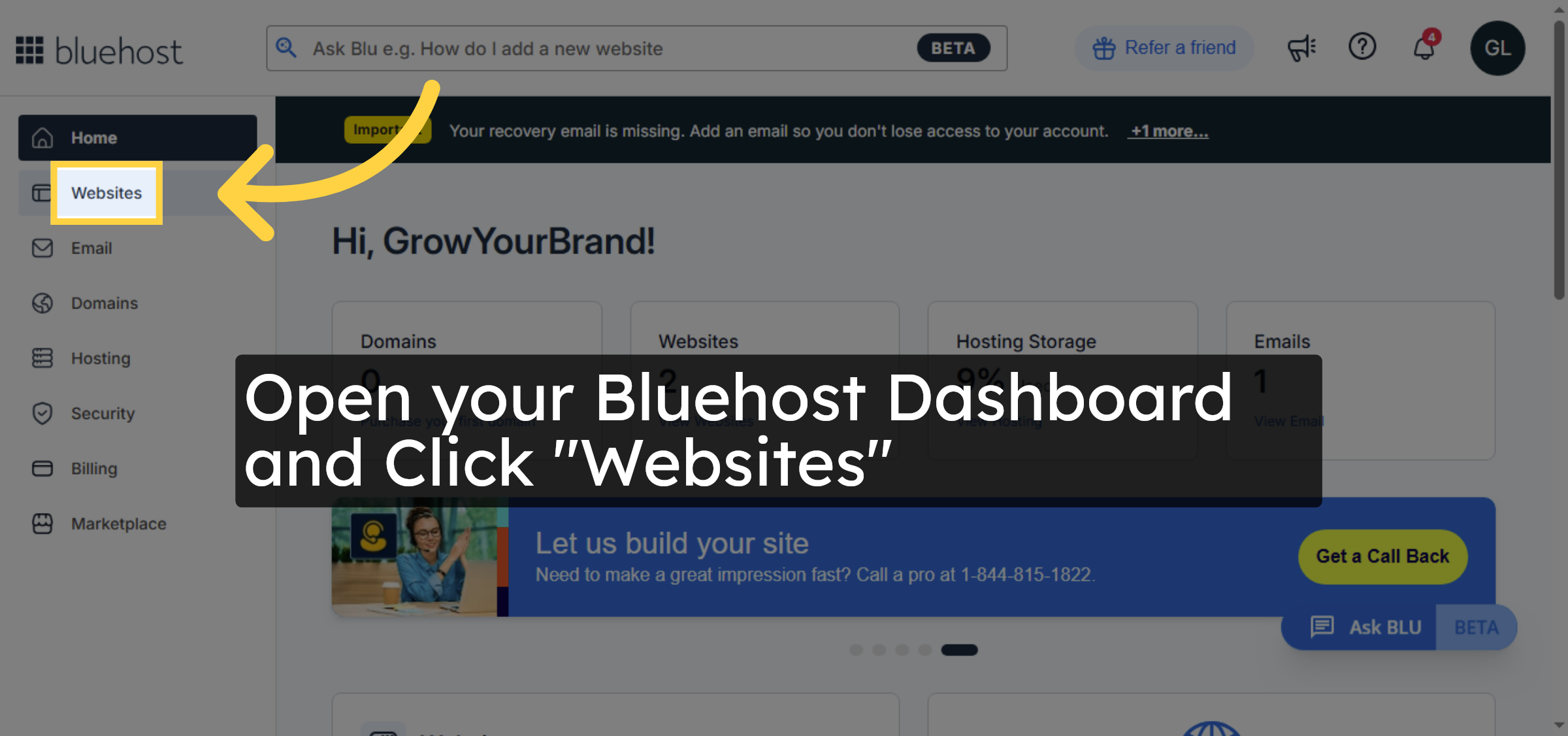 Navigate to Websites Section