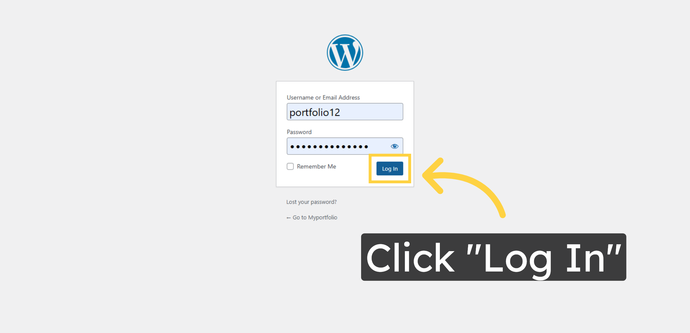 Log In to WordPress Admin