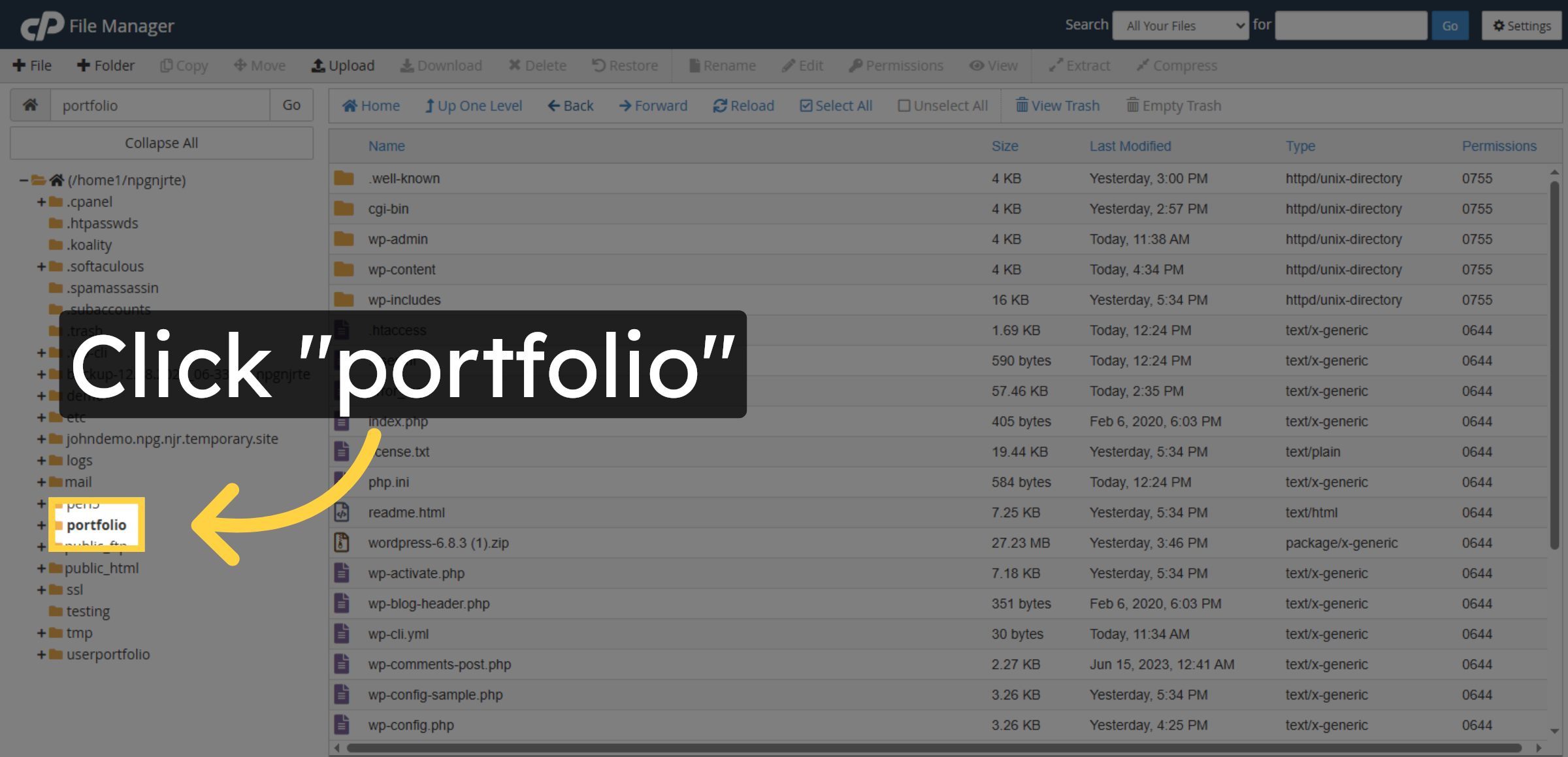 Select Portfolio Section