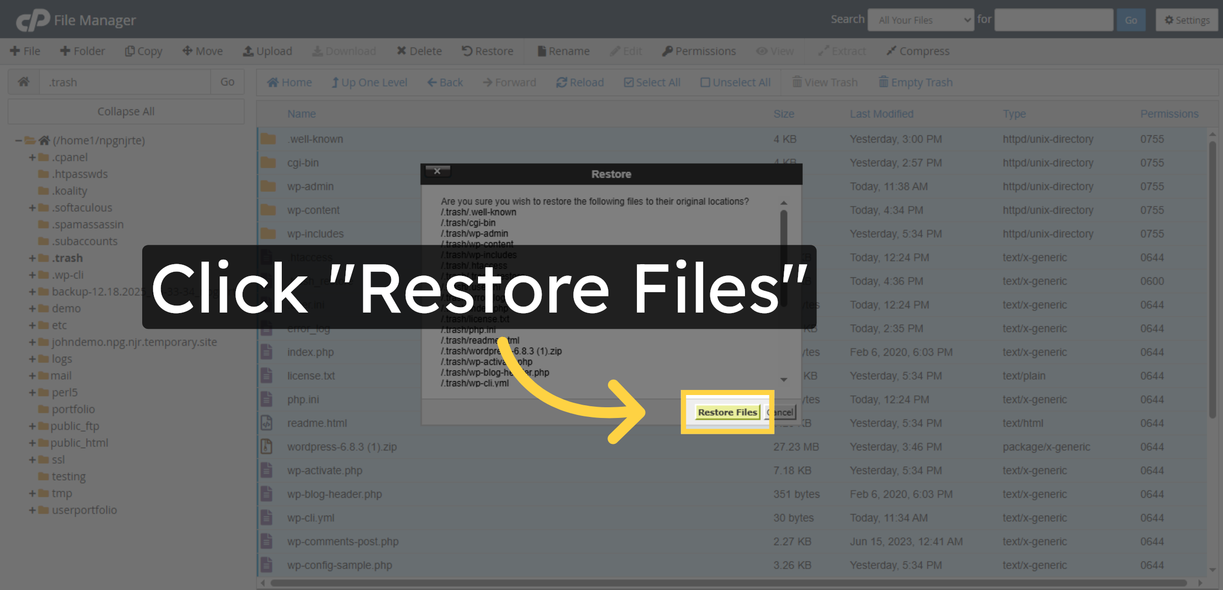Confirm Restore Action