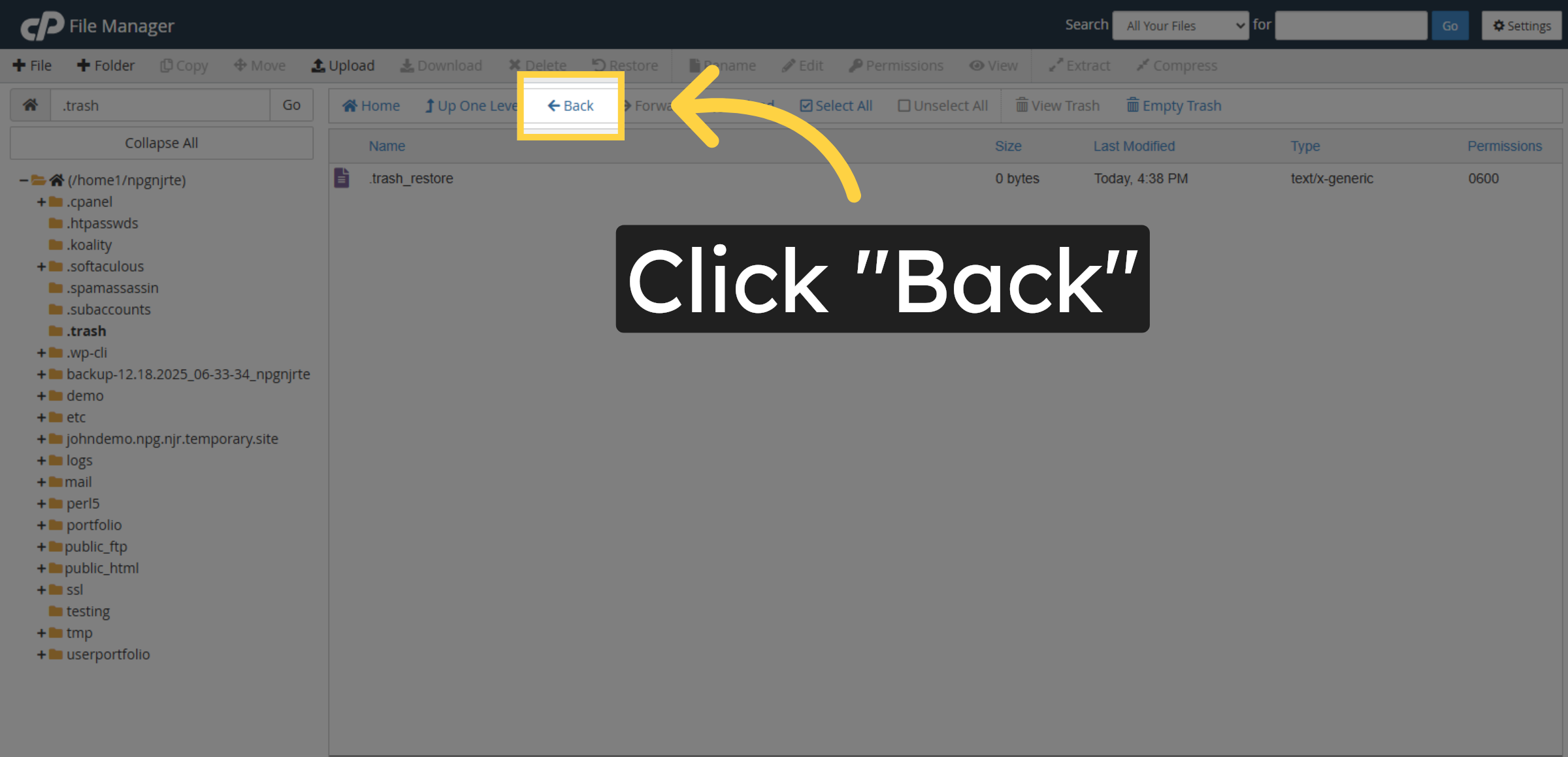 Return To Previous View