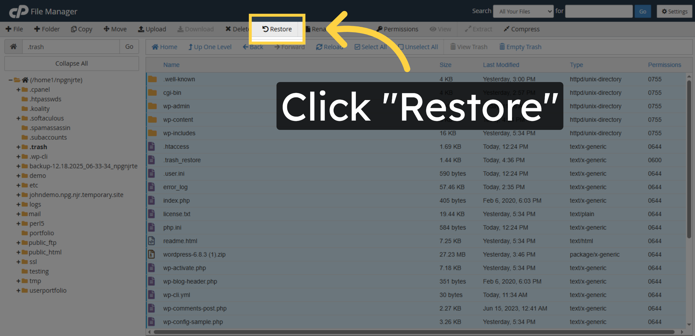Initiate File Restore
