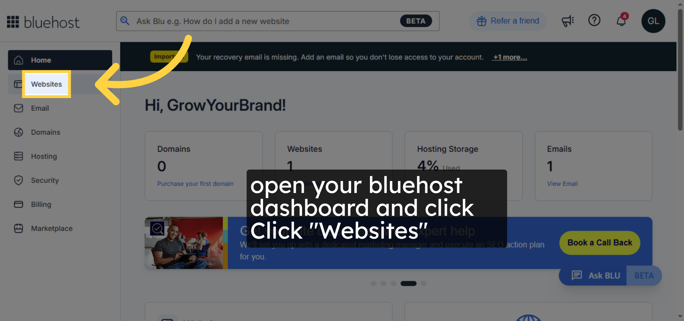 Navigate to Websites Section