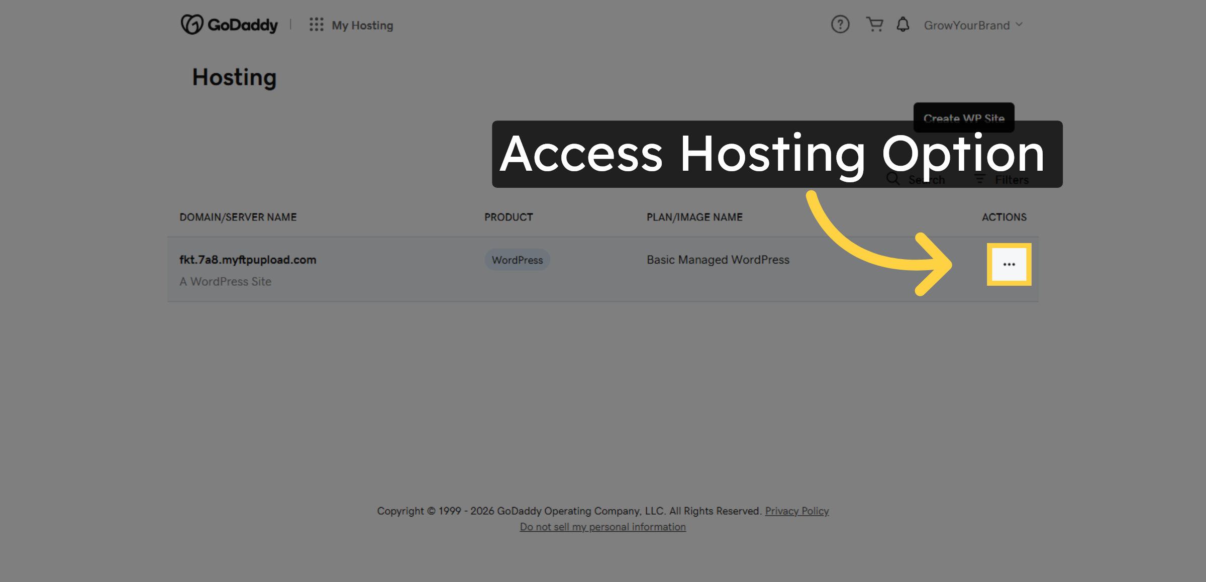 Access Hosting Option