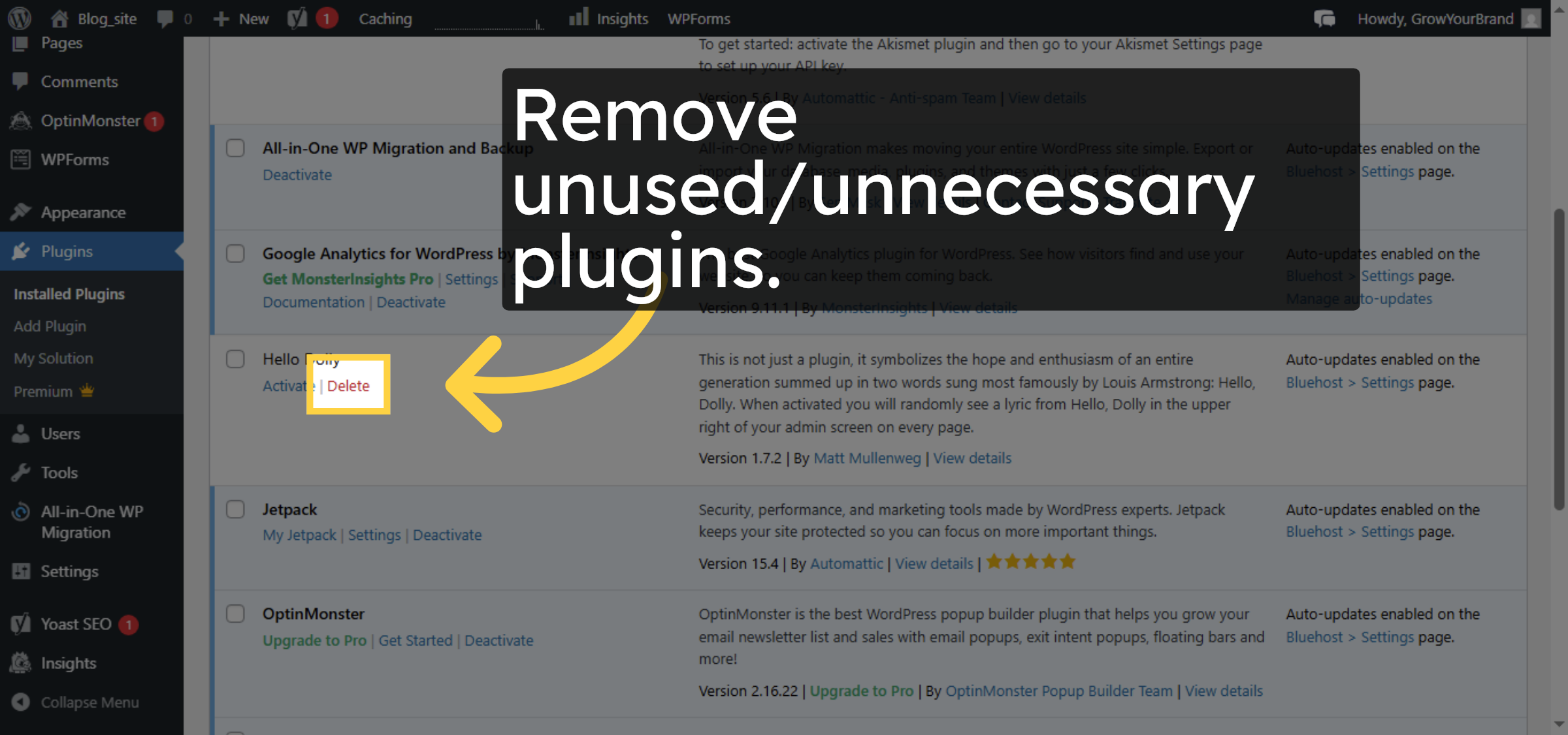 Delete Unused Plugin