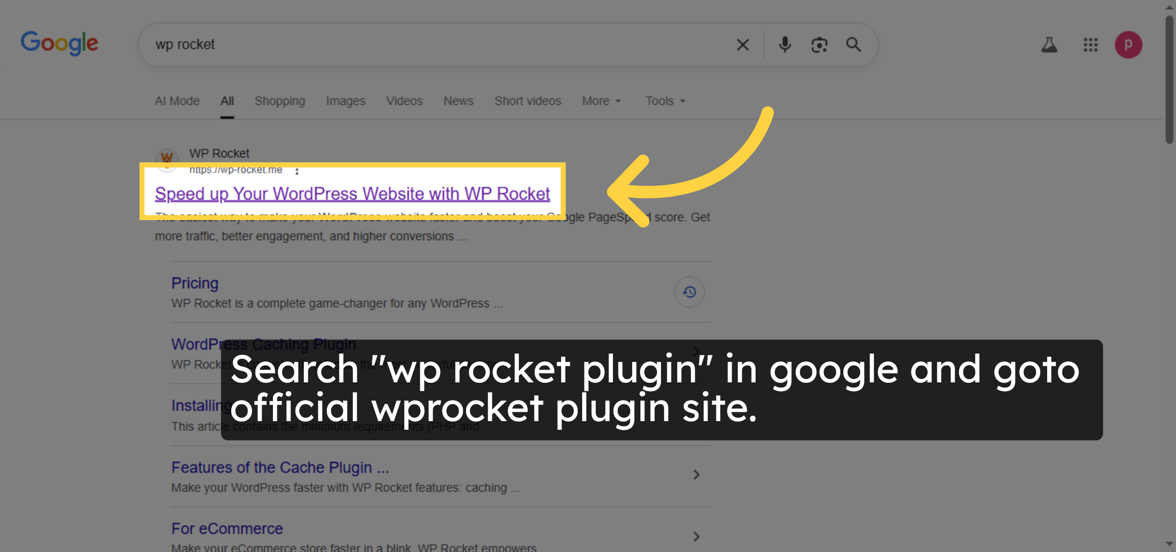 Select WP Rocket Website